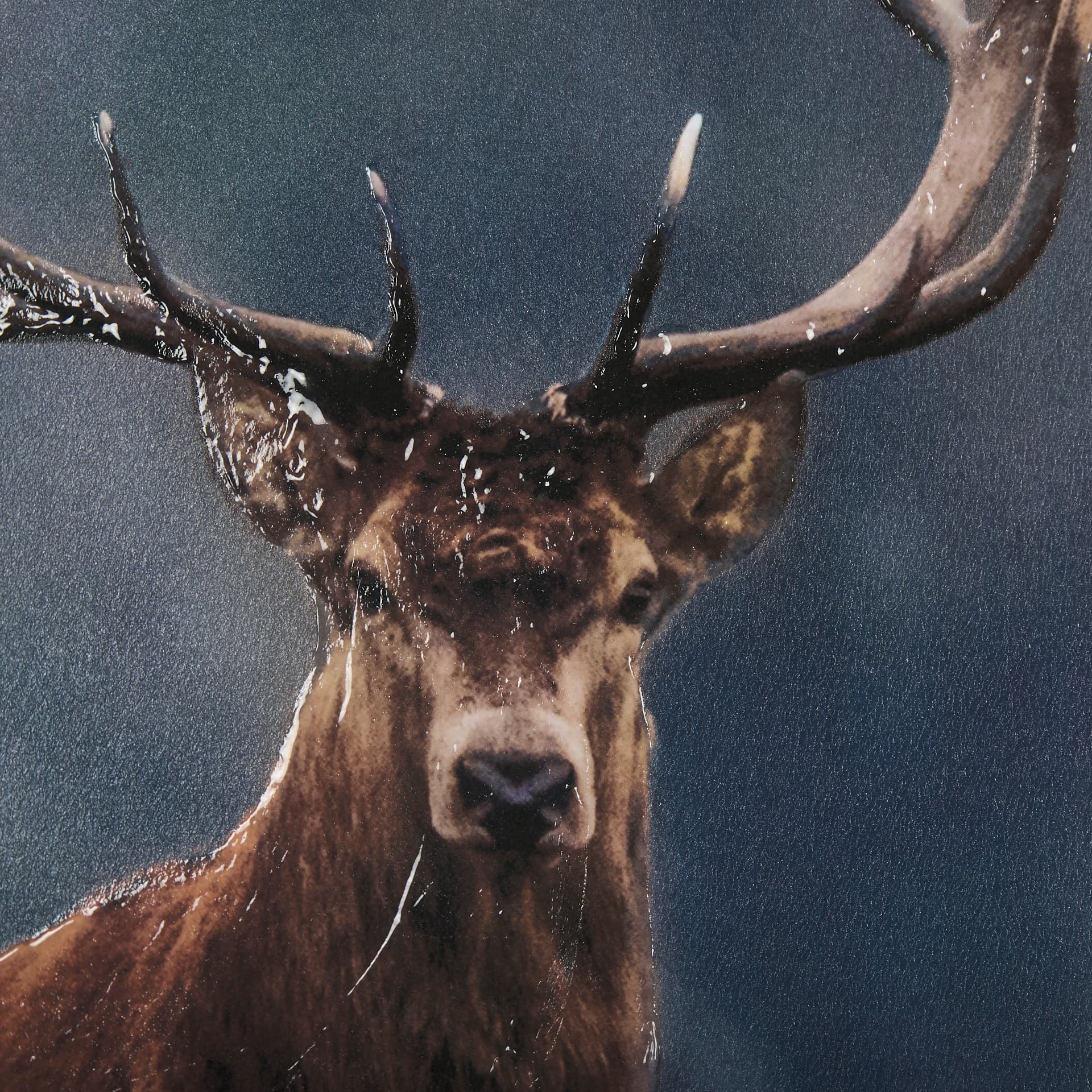 Glorious Stag by Mercana Studio a Hand Embellished Textured Framed Photo Art Print Matted under Glas — product photograph