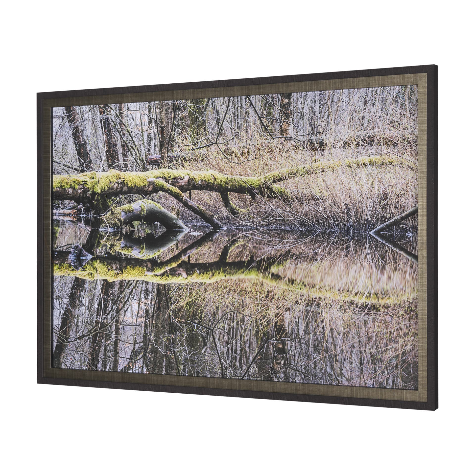 Branchscape Moss - Reflect by Mikael Svensson a Framed Photo Art Print Matted under Glass — product photograph