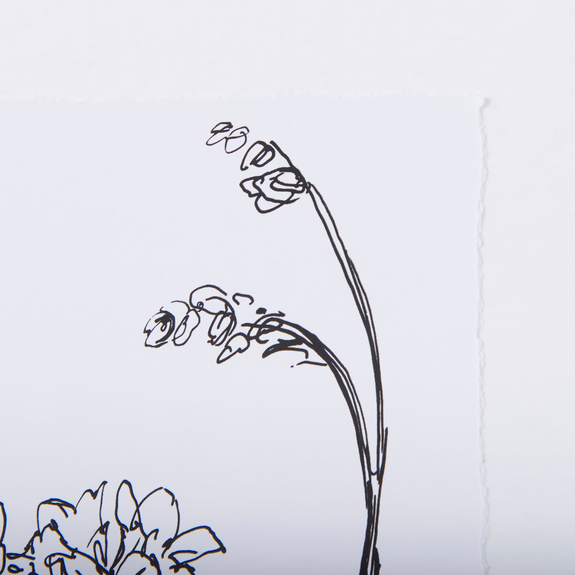 Spring Blooming VIII by Mercana Studio Hand Embellished Textured Framed Art Print Matted under Glass — product photograph
