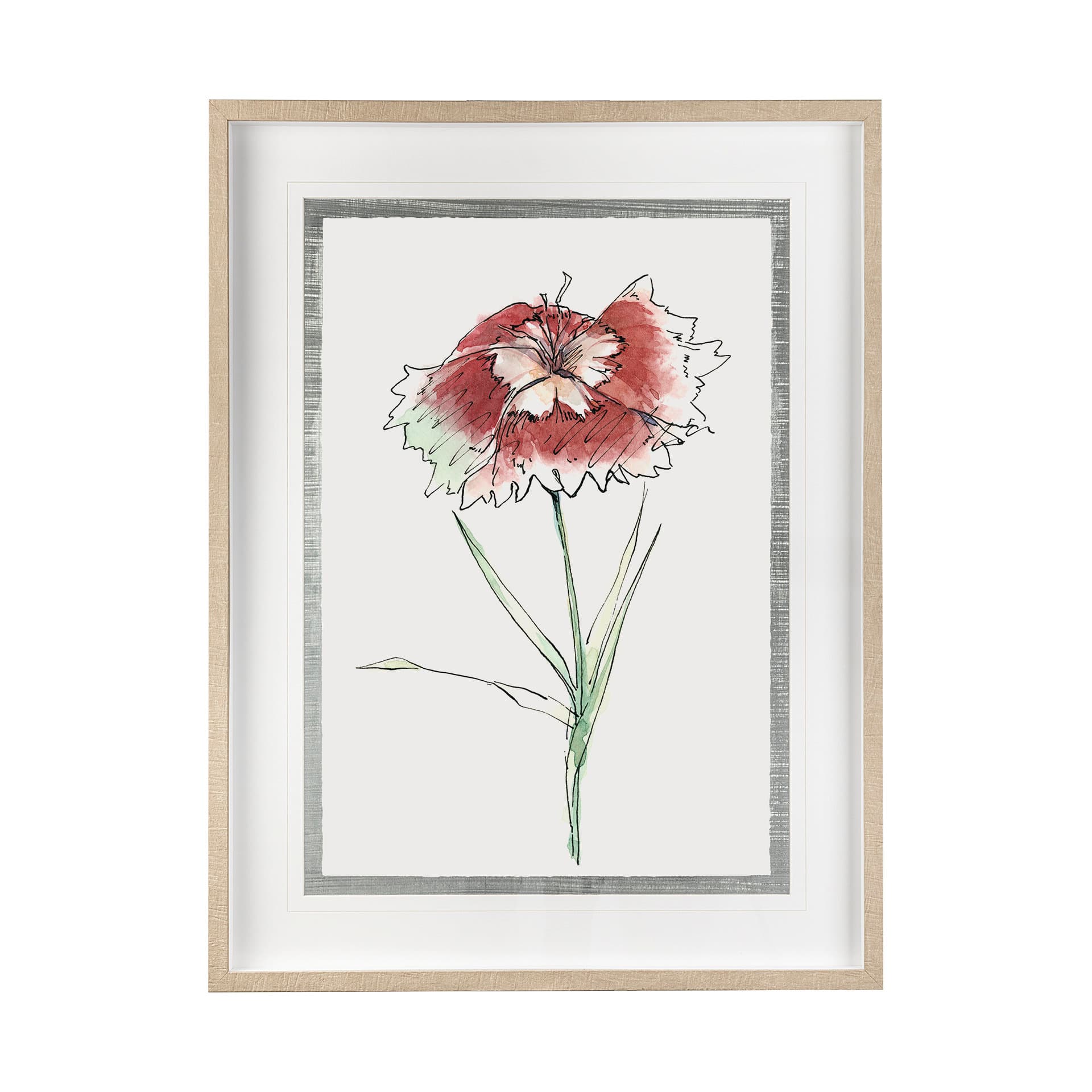 Dianthus I by Panpan Zhang a Framed Art Print Matted under Glass — product photograph