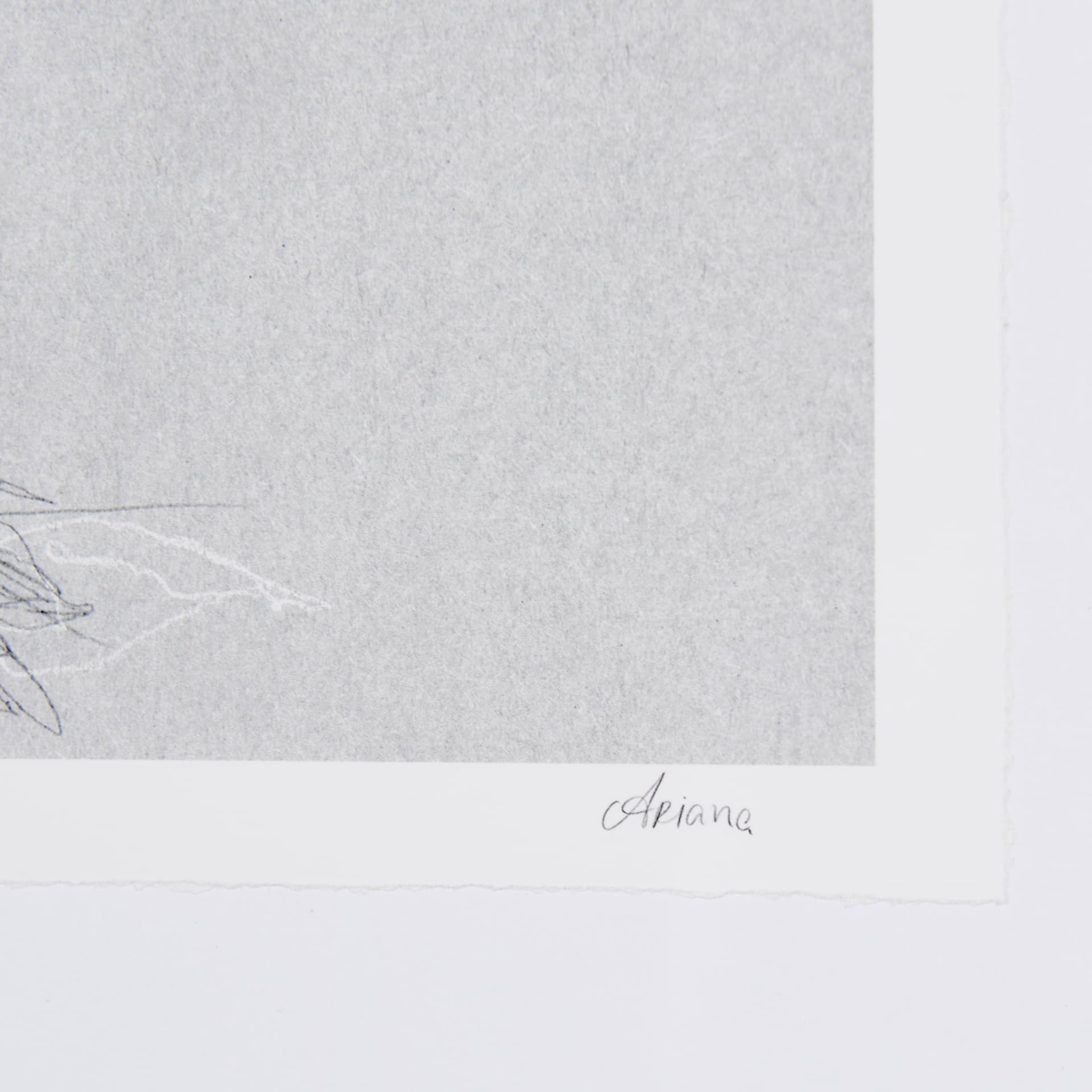Botanical sketches II (Grey) by Mercana Studio Hand Embellished Framed Art Print Matted under Glass — product photograph
