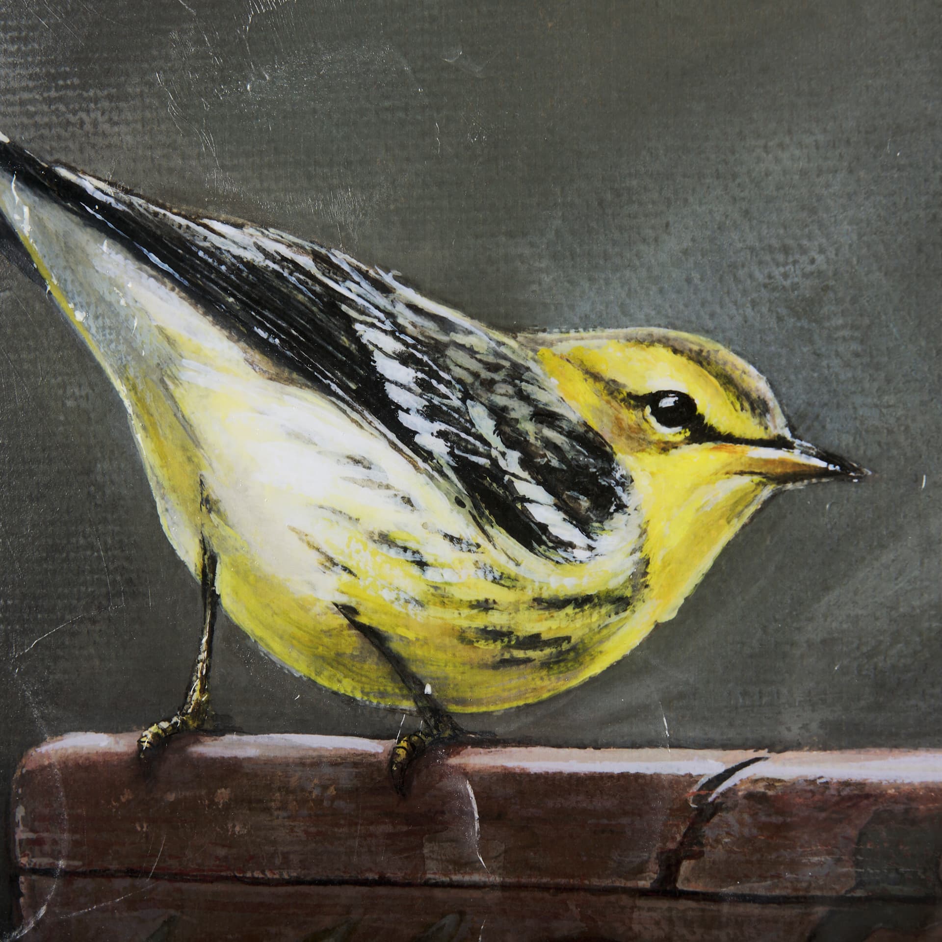 Graceful Poise IV (Blackburnian Warbler) — product photograph