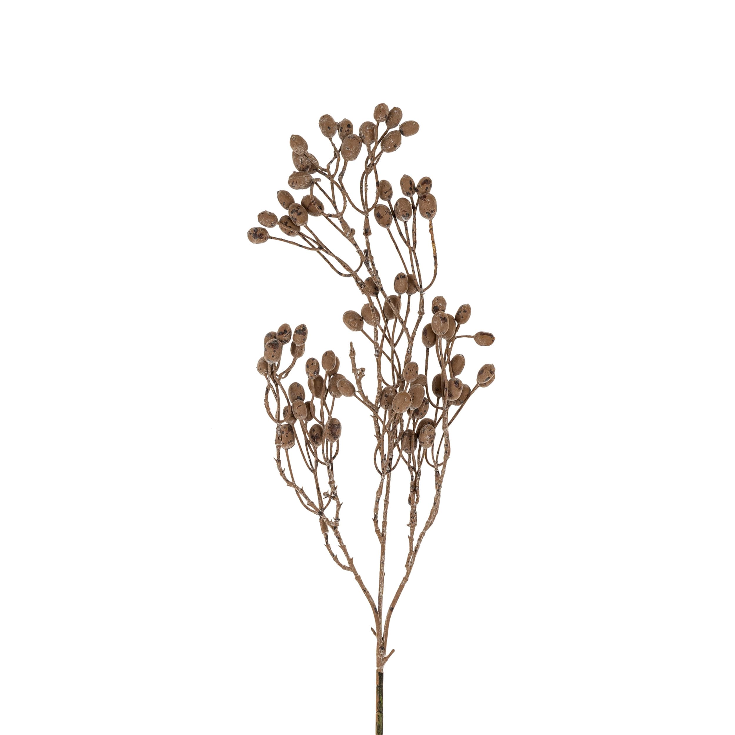 Dripping Dried Berry Branch — product photograph