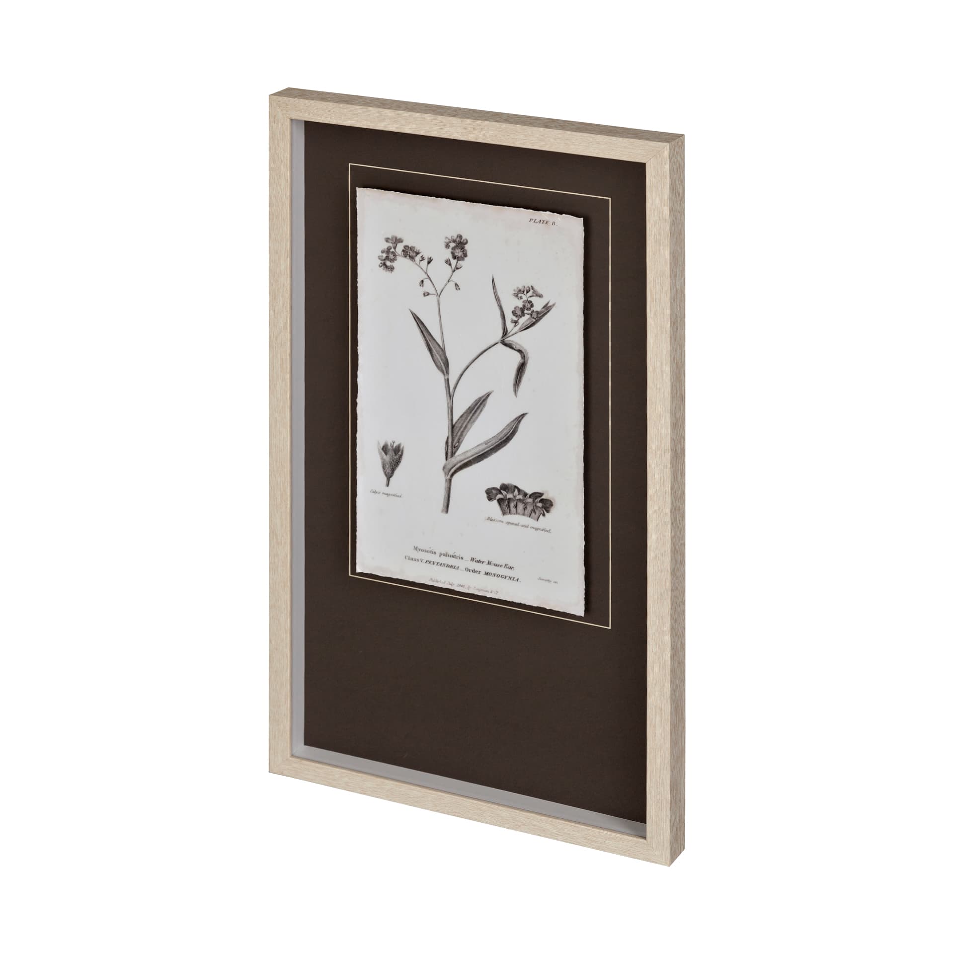 Conversations on Botany I by Mercana Studio Hand Embellished Framed Art Print Matted under Glass — product photograph
