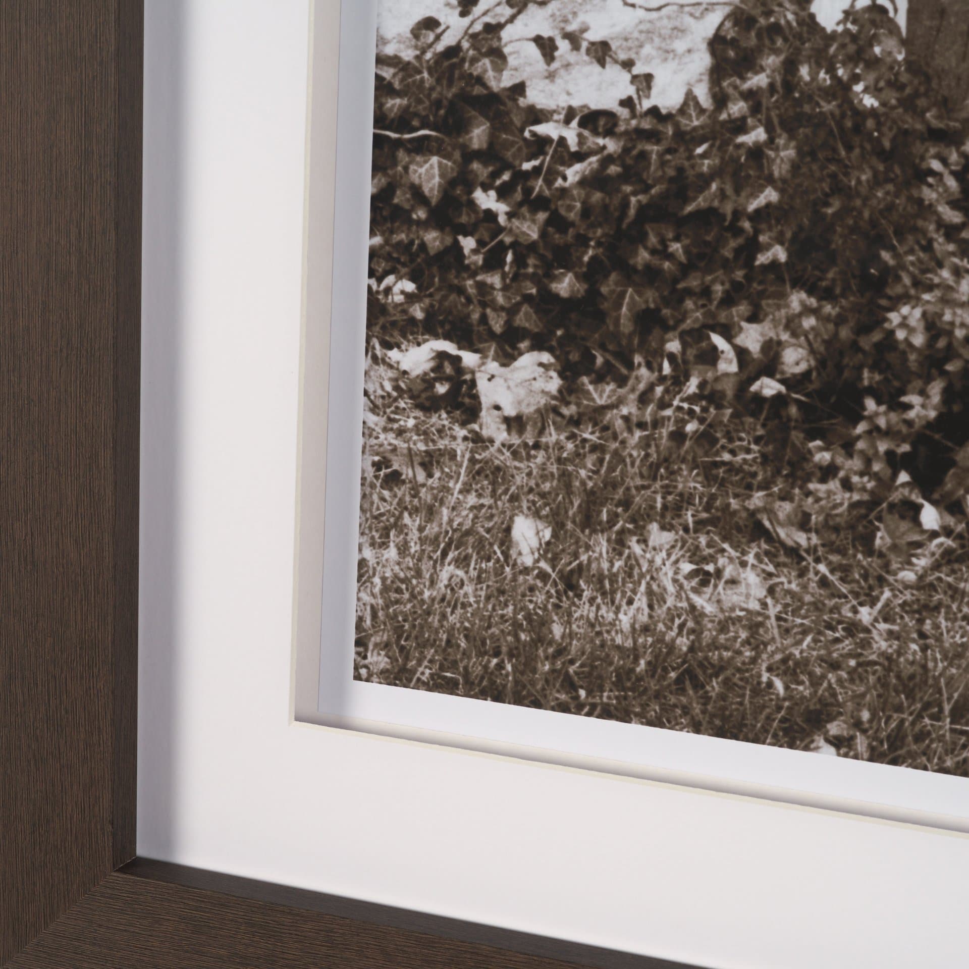 I am Home by Jim Dratfield a Framed Photo Print Matted Under Glass — product photograph