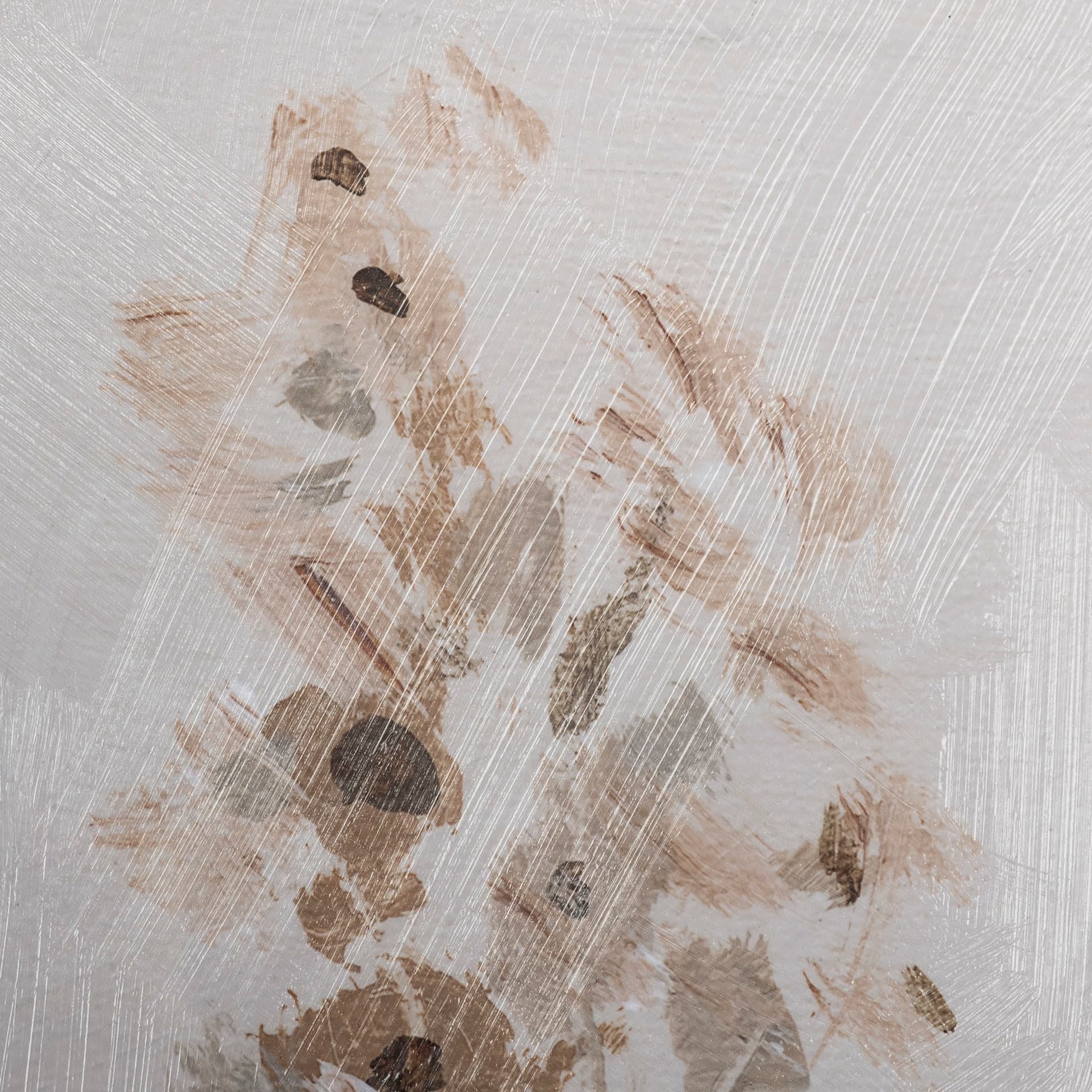 Rustic Wildflowers I by Tim OToole a Framed Art Print Matted under Glass — product photograph