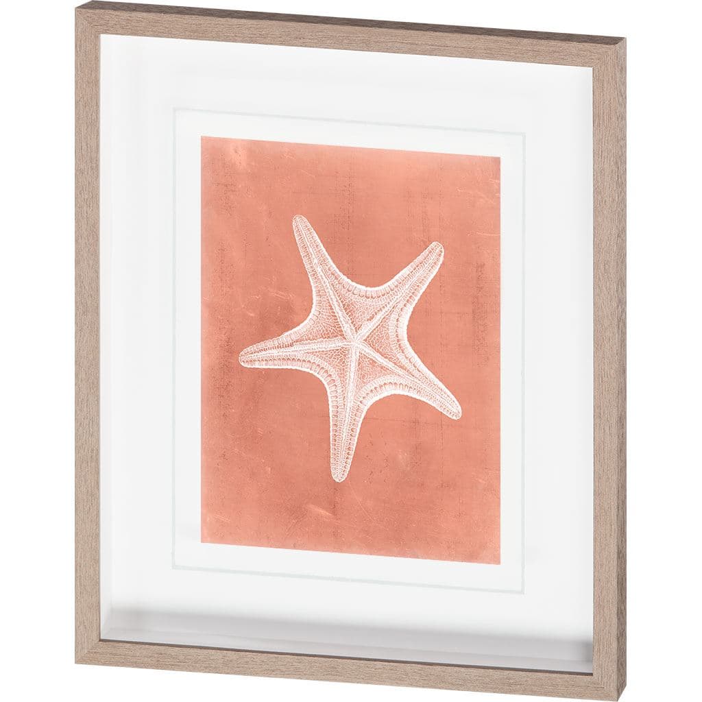 Sealife on Coral IV by Vision Studio a Hand Embellished Textured Framed Art Print Matted under Glass — product photograph