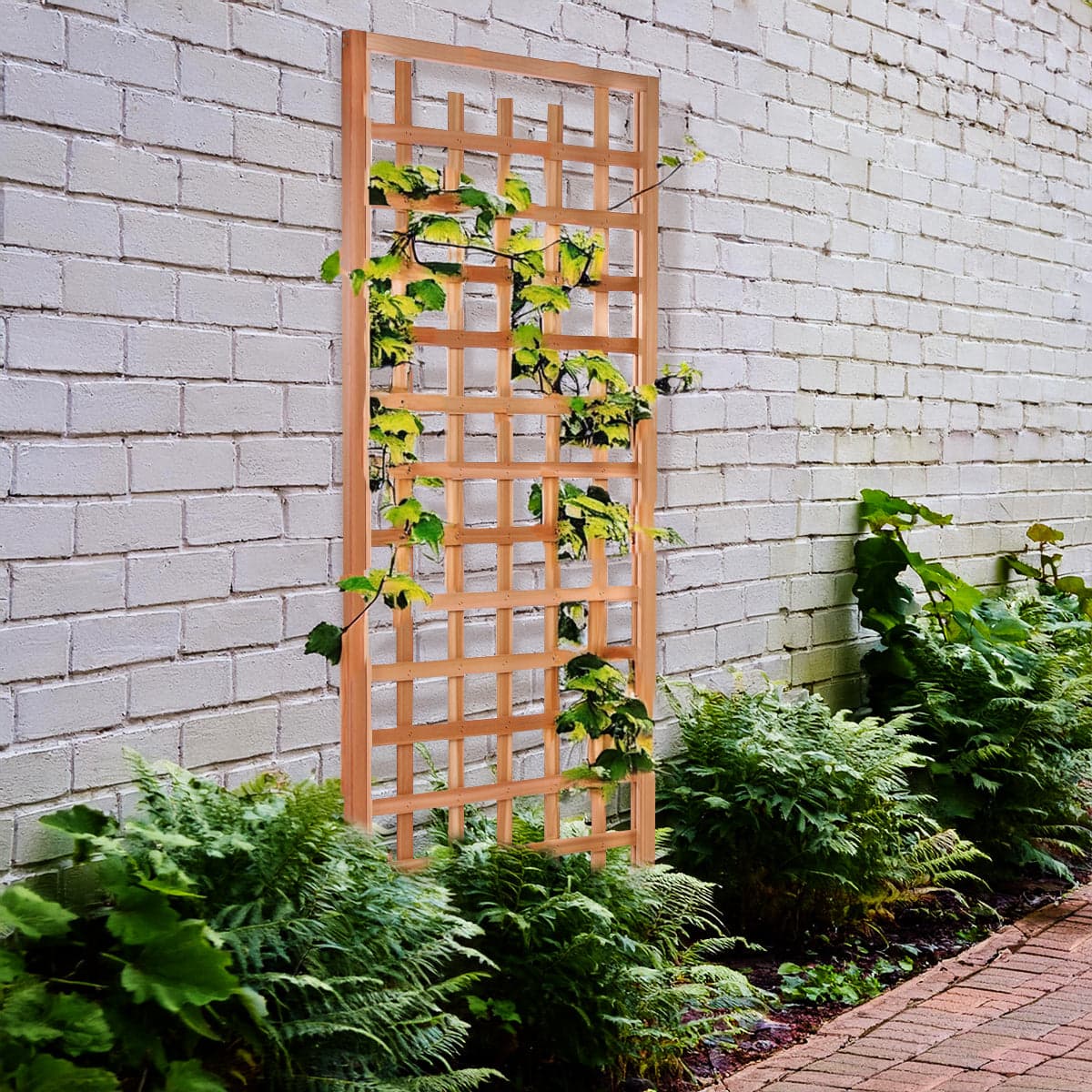 1-Piece Cedar Trellis Panel - TS33 — product photograph