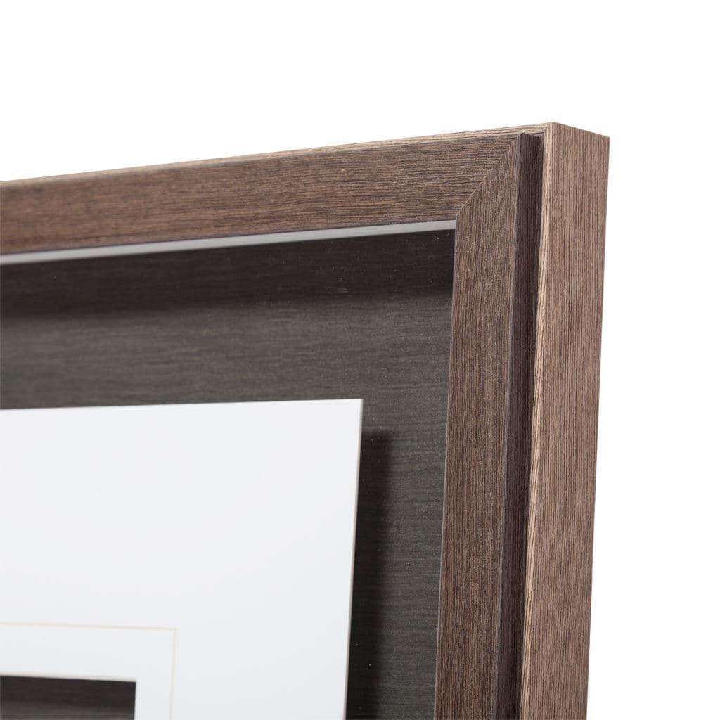 Custom Dinosaur Study III (MC) by Harper, Ethan a Framed Art Print Matted under Glass — product photograph