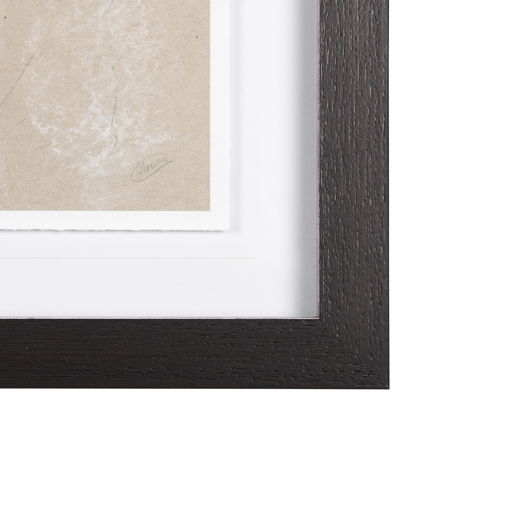 Sketch of Animal VIII by Mercana Studio Hand Embellished Framed Art Print Matted under Glass — product photograph