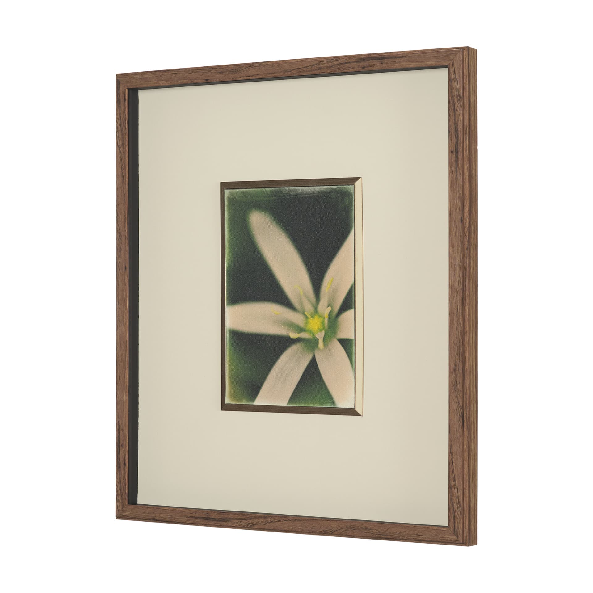 Floral Finesse by Michael Banks a Hand Embellished Framed Photo Art Print Matted under Glass — product photograph