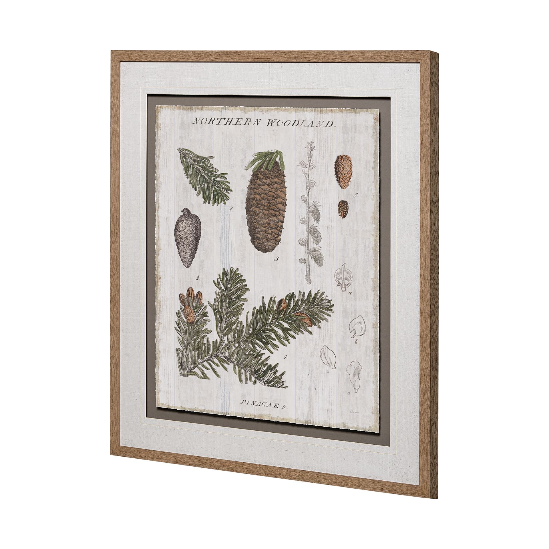 Woodland Chart IV by Sue Schlabach a Hand Embellished Textured Framed Art Print Matted under Glass — product photograph