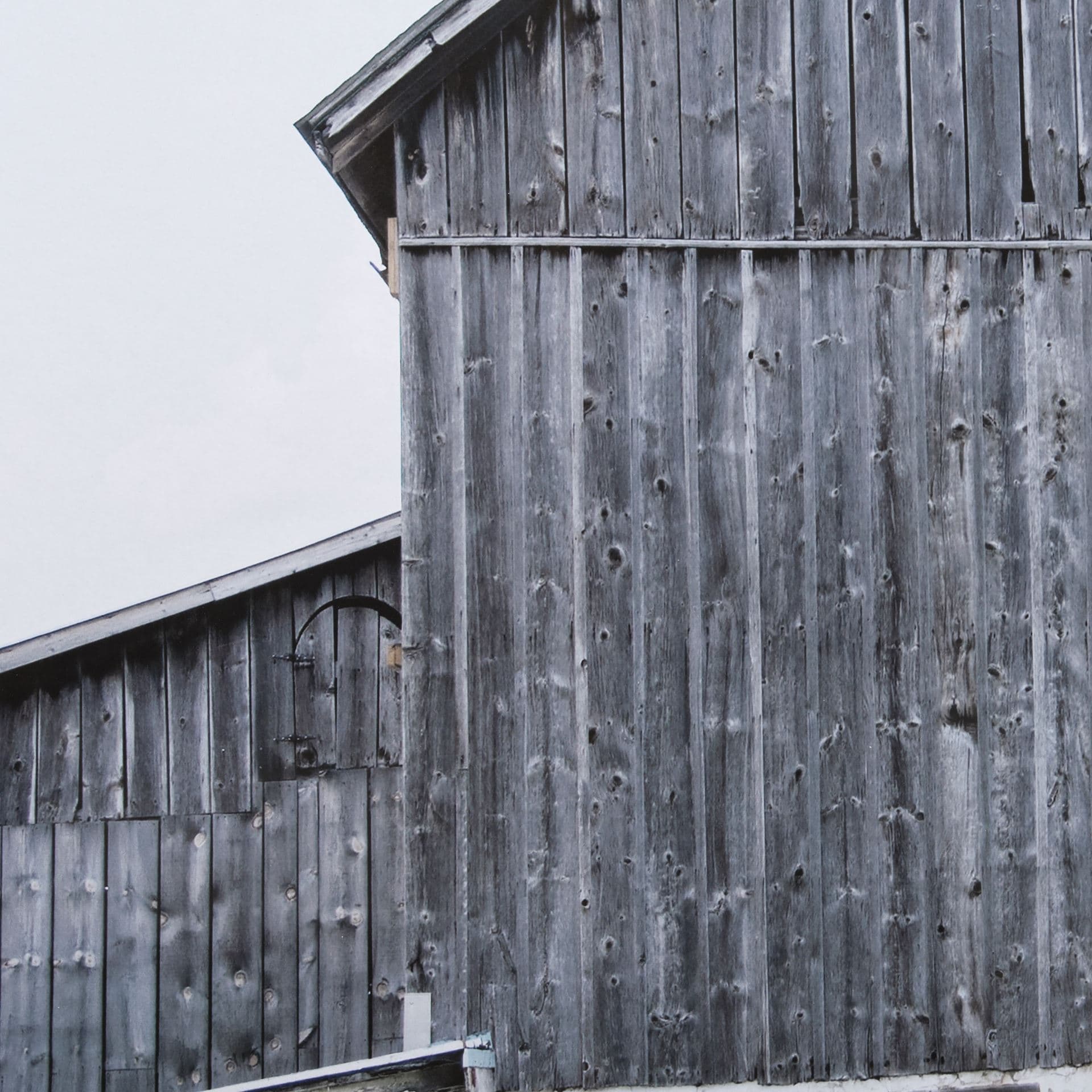 Weathered III by Mercana Studio a Framed Photo Art Print Matted under Glass — product photograph