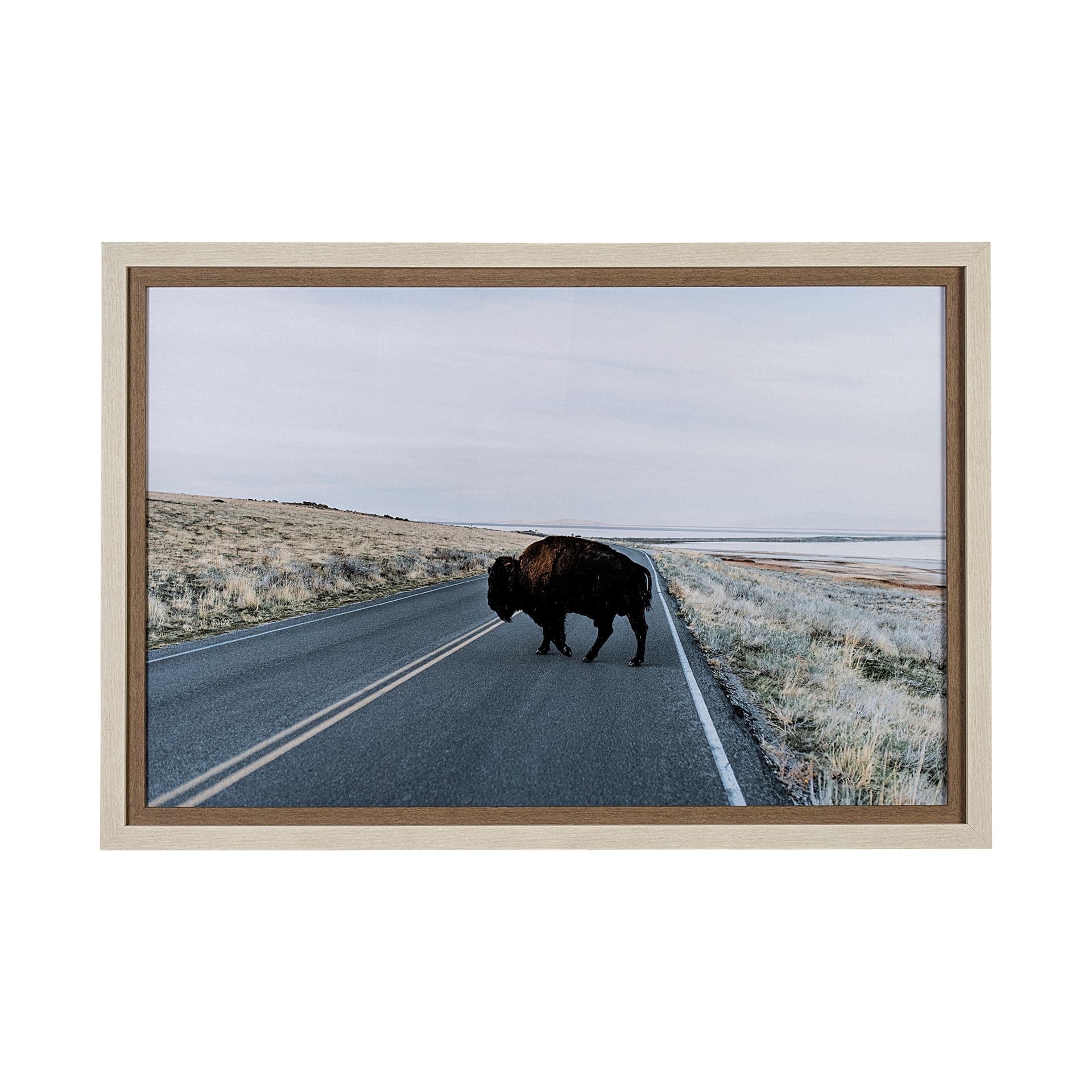 Bison Crossing by Chelsea Victoria a Hand Embelished Textured Framed Photo Art Print Matted under Gl — product photograph