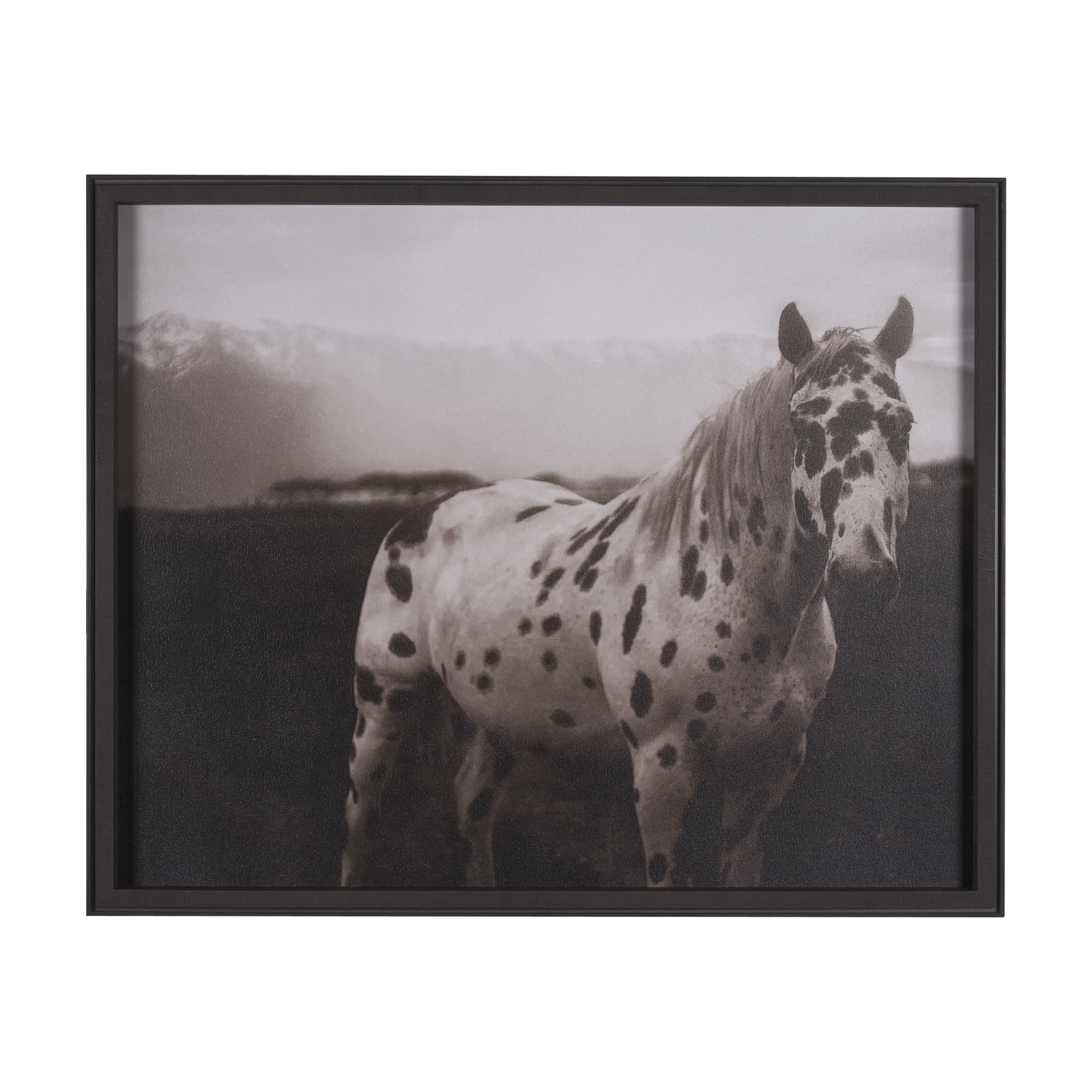 Spotted Solo Horse by Nathan Kane a Hand Embelished Textured Framed Photo Art Print — product photograph