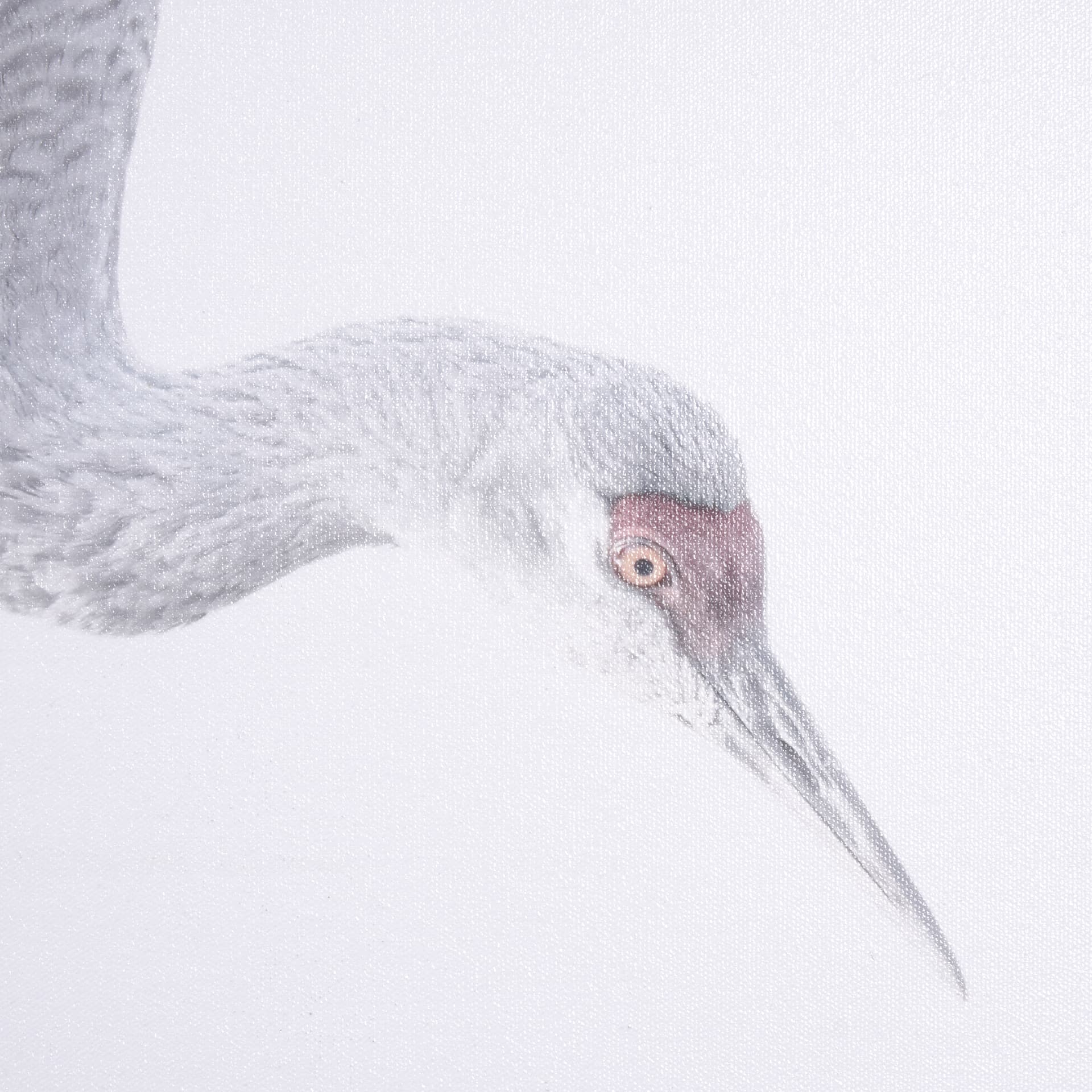 Sandhill Crane I by Chad Mckay a Hand Embelished Textured Framed Photo Art Print — product photograph