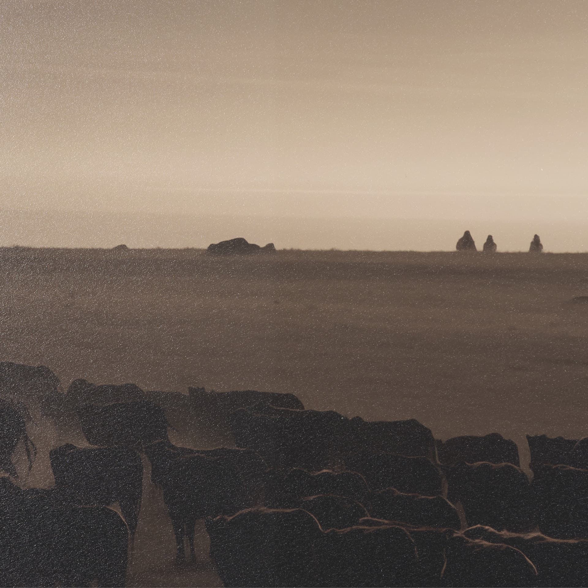 Golden Hour Cowboy Herd by Andreas Magnusson Textured FramedPhoto Print Matted under Glass — product photograph