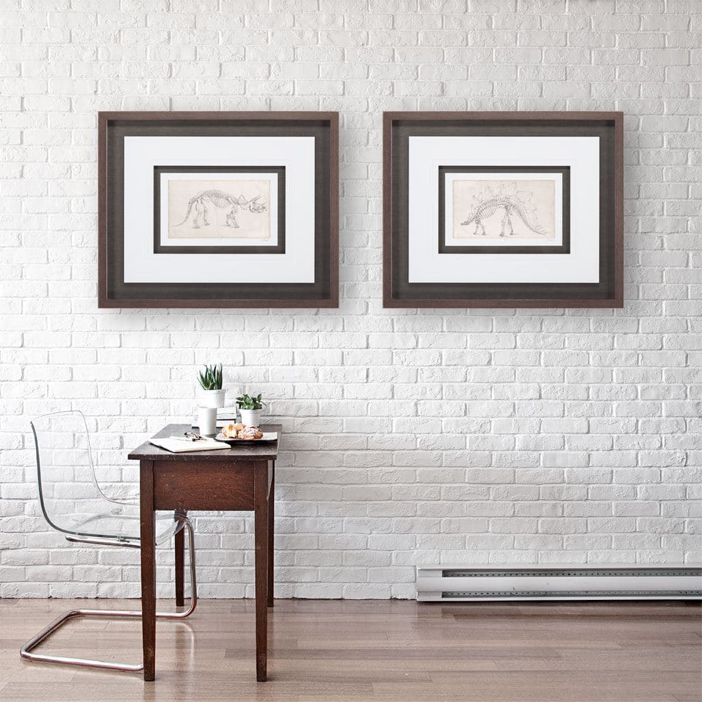 Custom Dinosaur Study III (MC) by Harper, Ethan a Framed Art Print Matted under Glass — product photograph