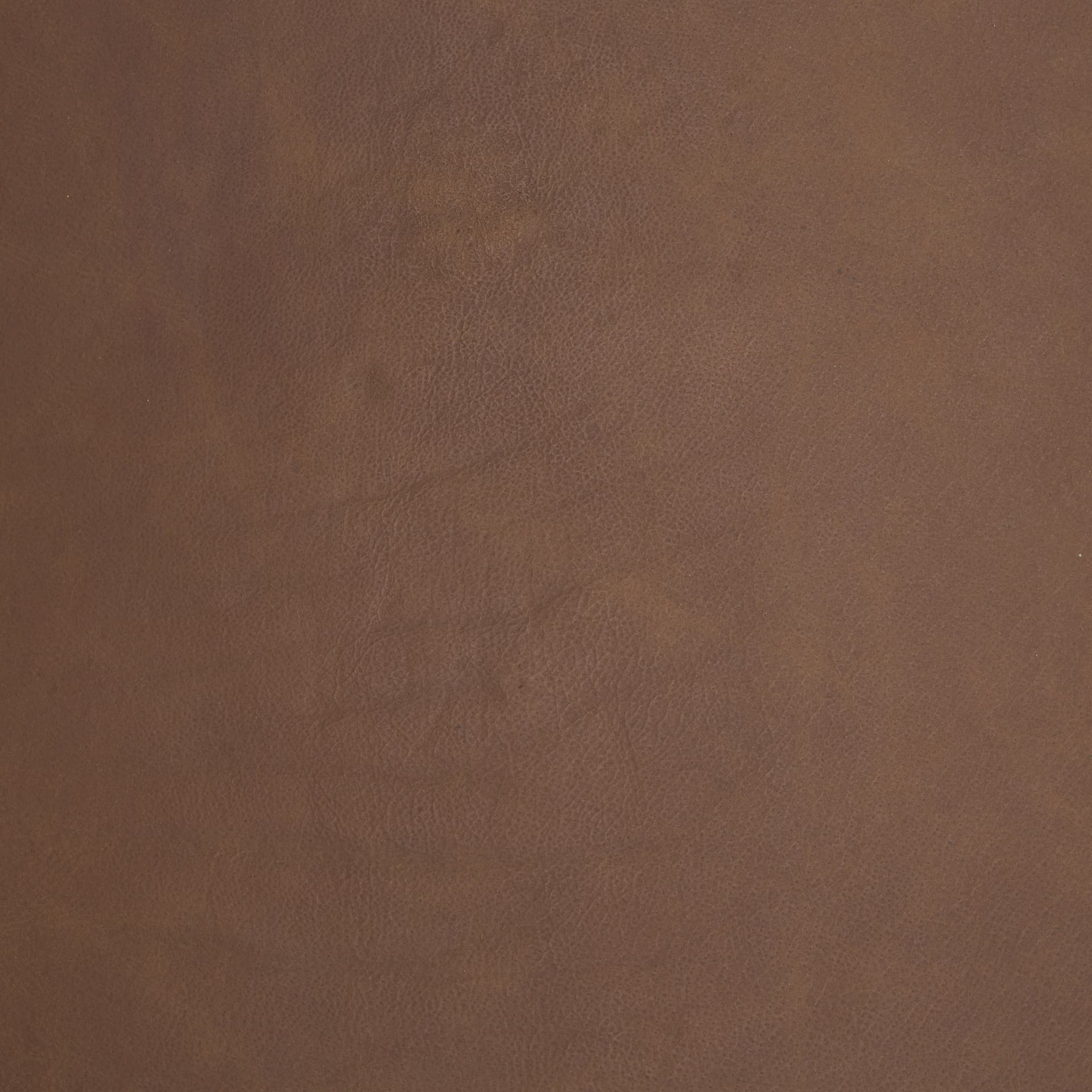 Parker Curved Back Dining Arm Chair | Brown Leather w/ Gold Metal — product photograph