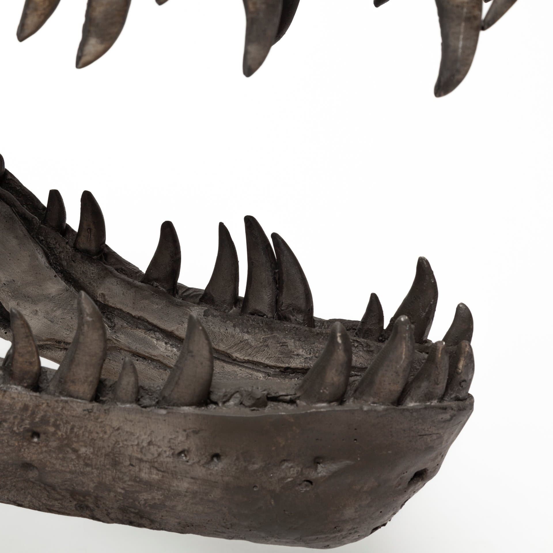 Lagrane 19L x 11W Brown Resin Tyrannosaurus T Rex Dinosaur Skull Replica — product photograph