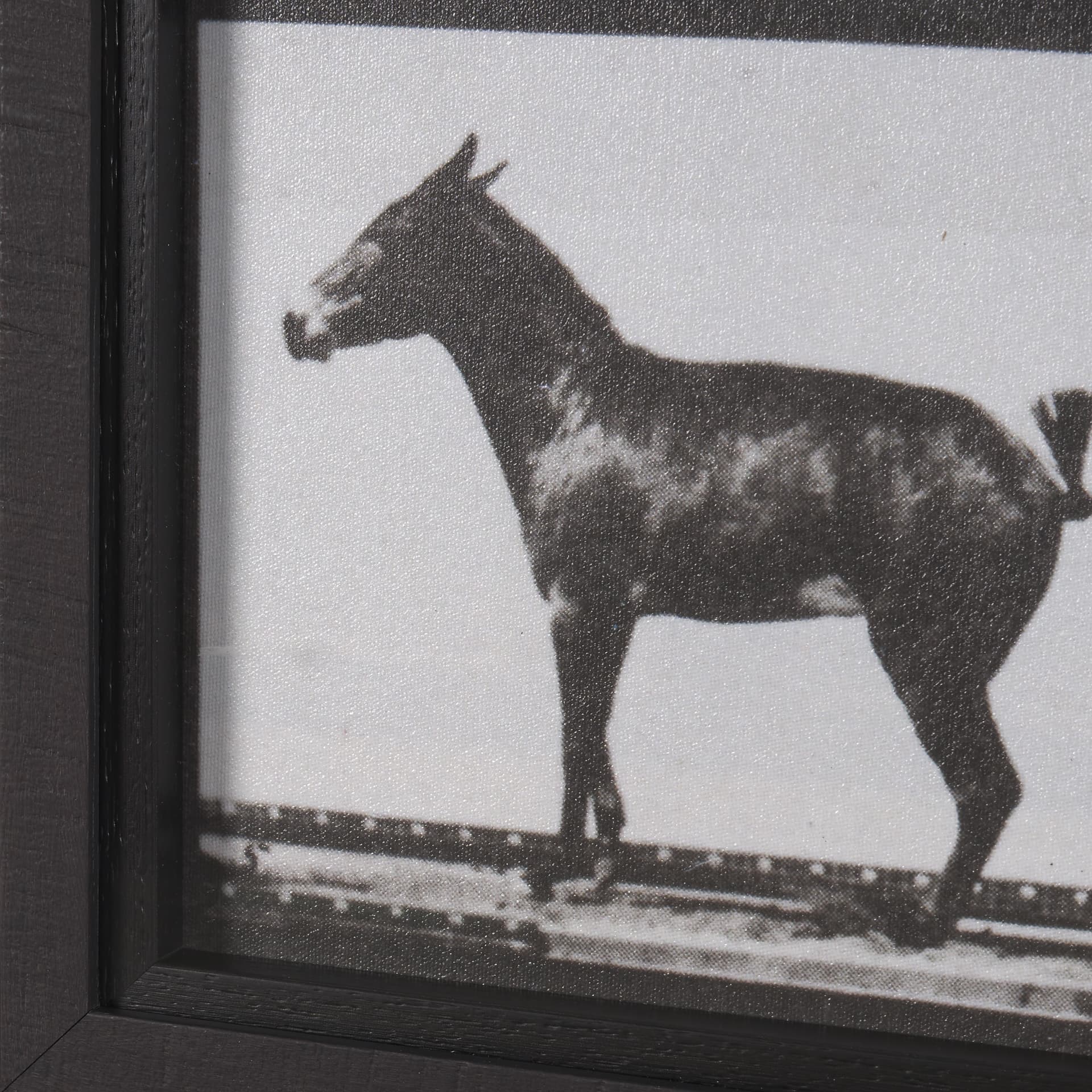 Bucking and Kicking by Eadweard Muybridge Hand Embellished Framed Art Print Matted under Glass — product photograph