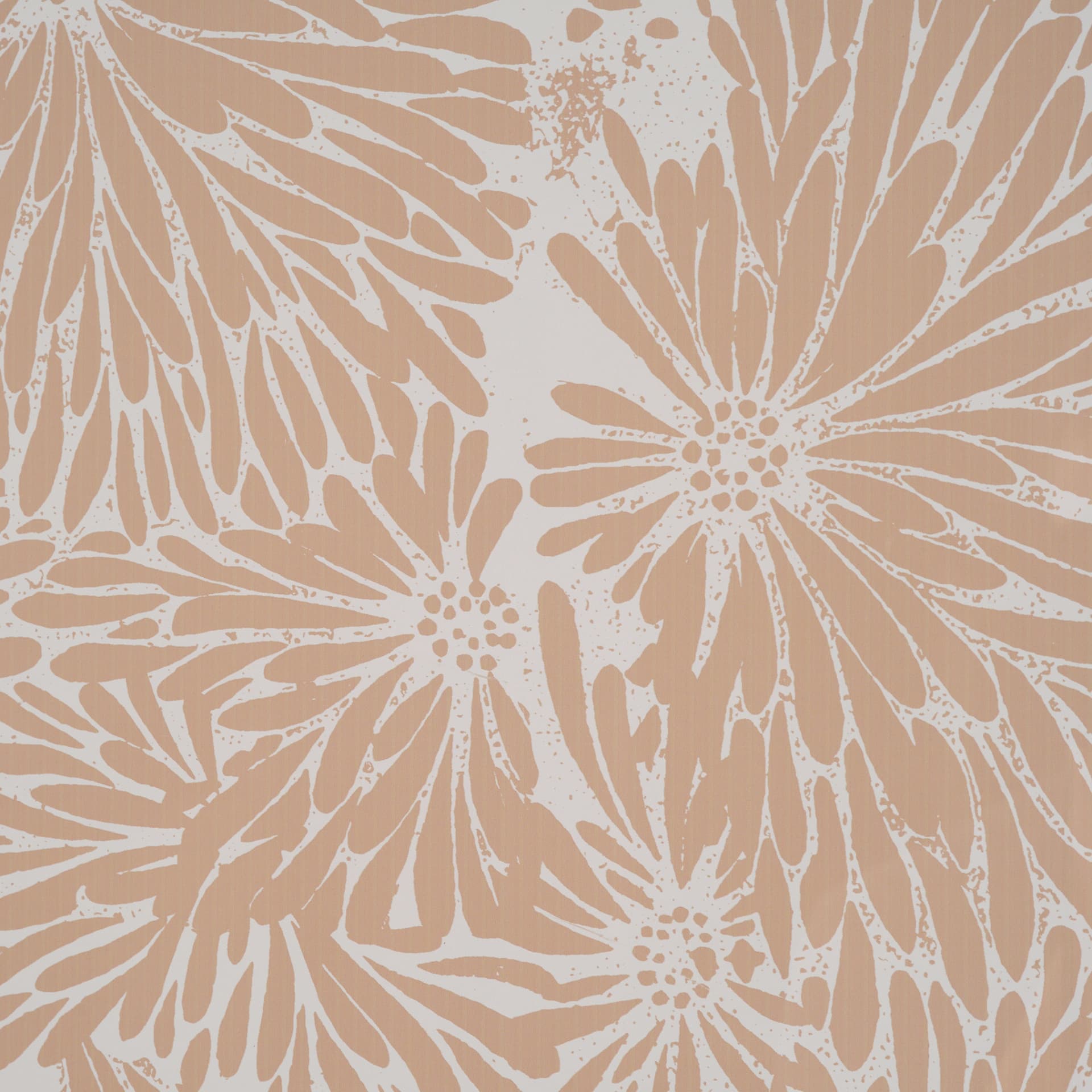 Belleza En Flores III by Mercana Studio a Framed Art Print Matted under Glass — product photograph