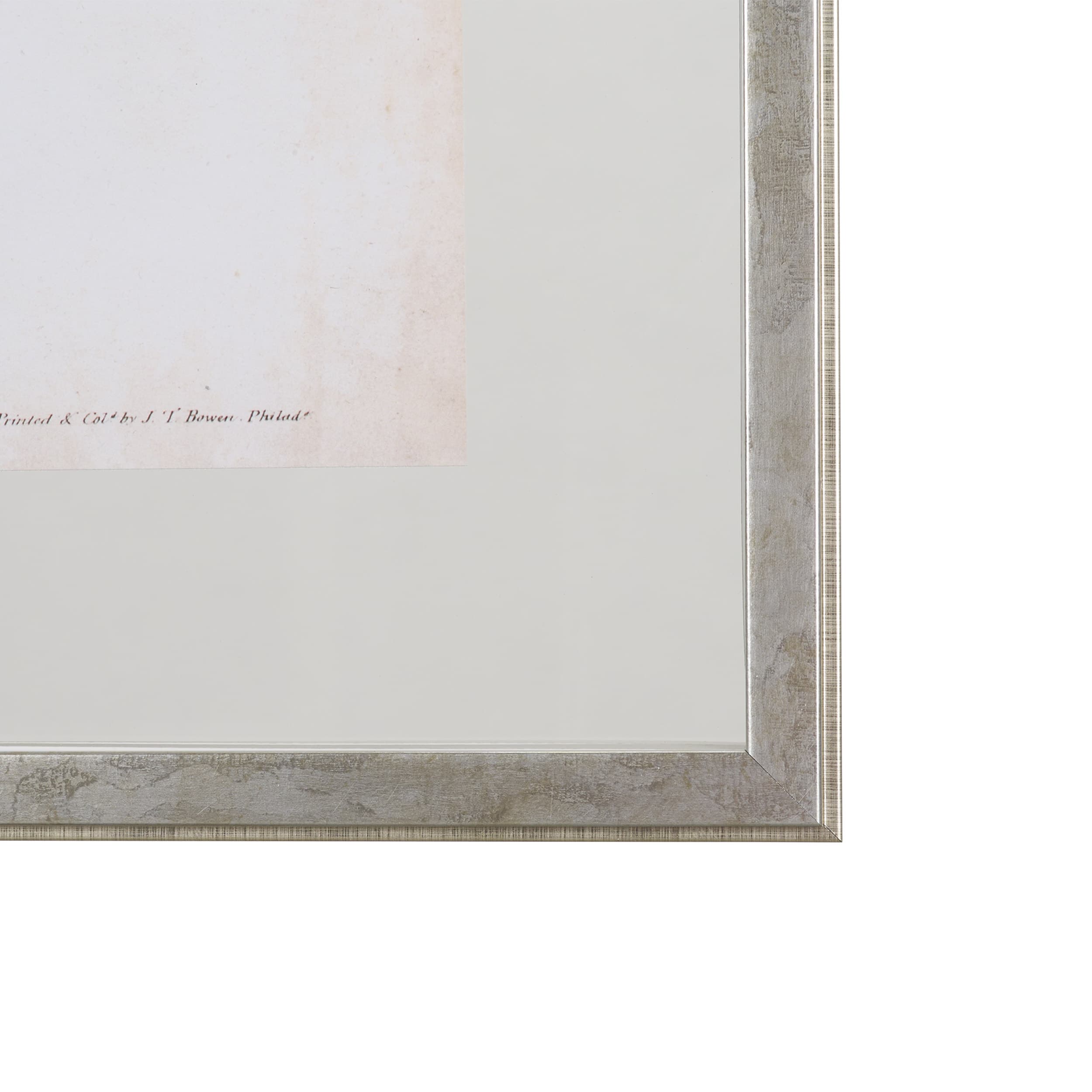 Delicate Bird and Botanical IV by John James Audubon a Framed Art Print Matted under Glass — product photograph