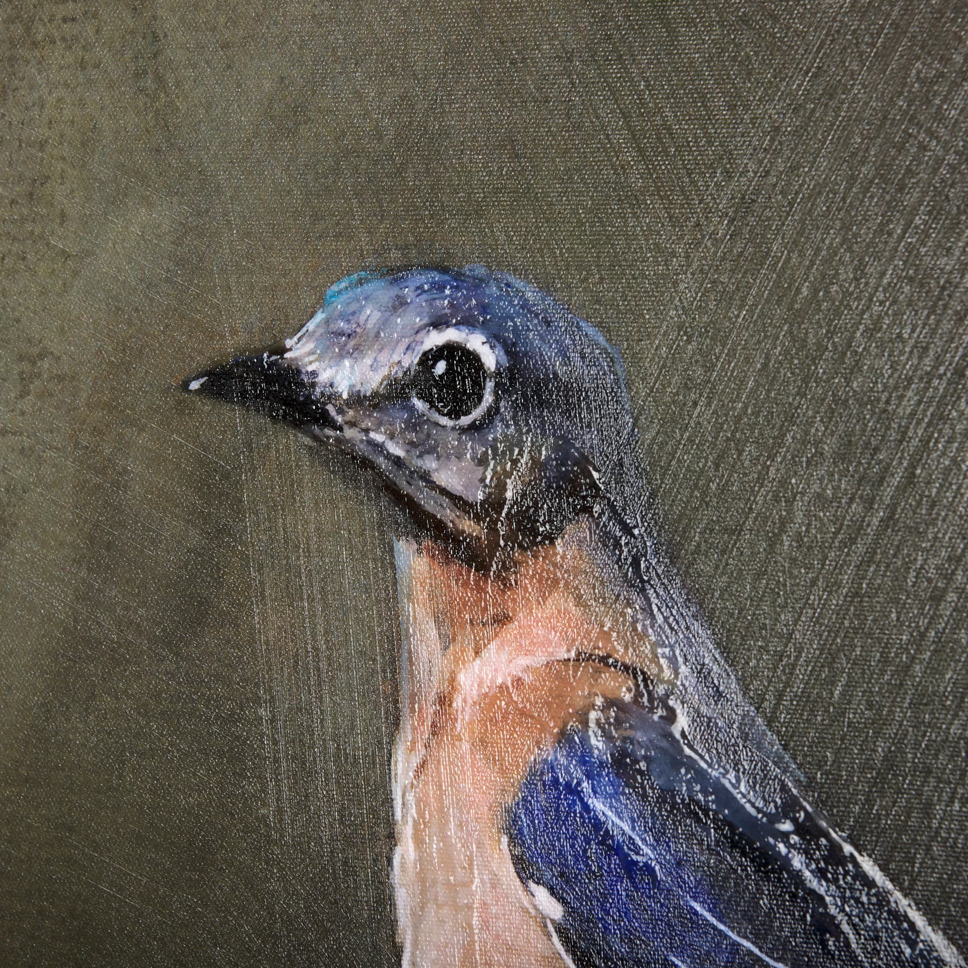 Graceful Poise II (Eastern Bluebird)(42 x 56) — product photograph