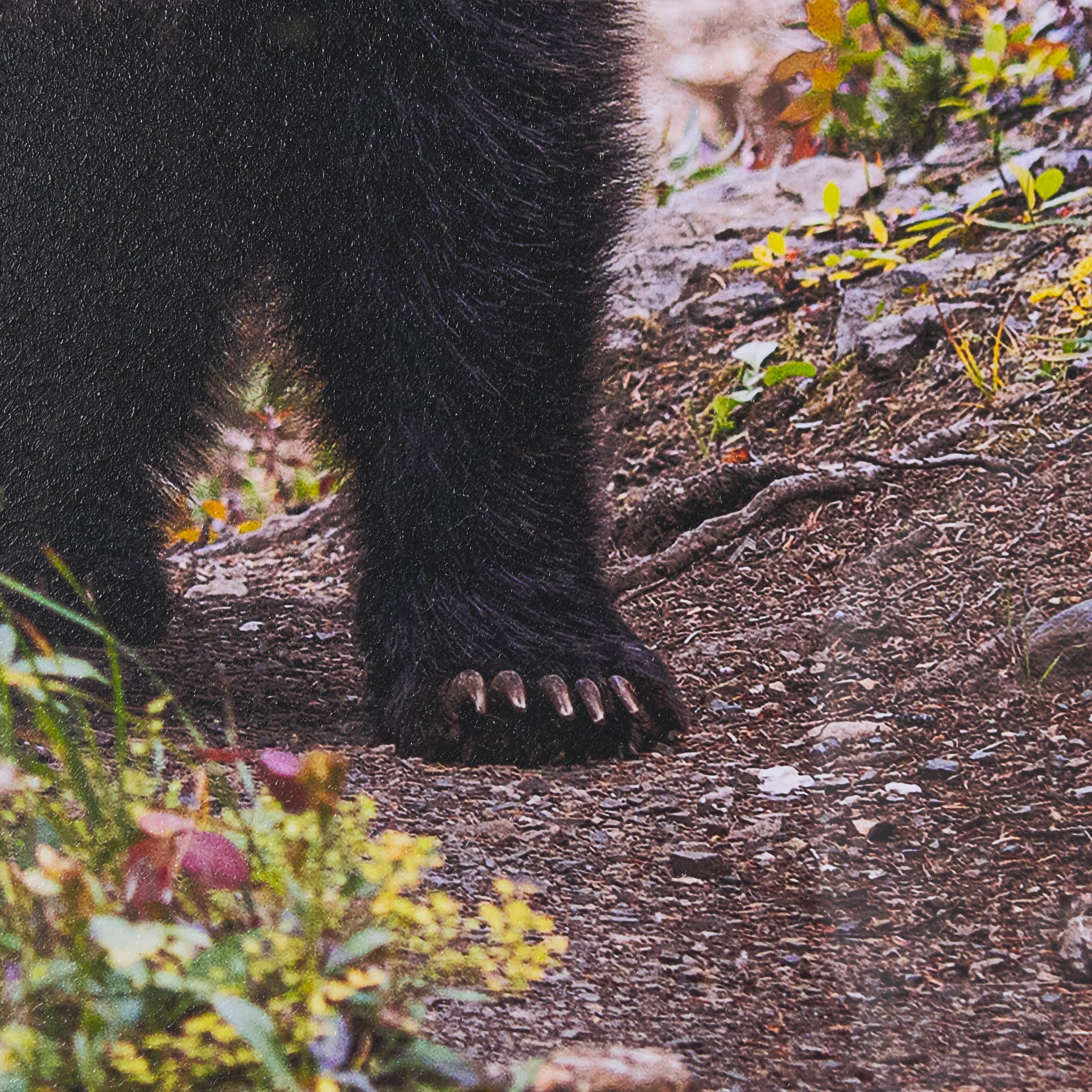 Coming Round the Bend by Gary Blatter Hand Embellished Textured Framed Photo Art Print Matted under — product photograph