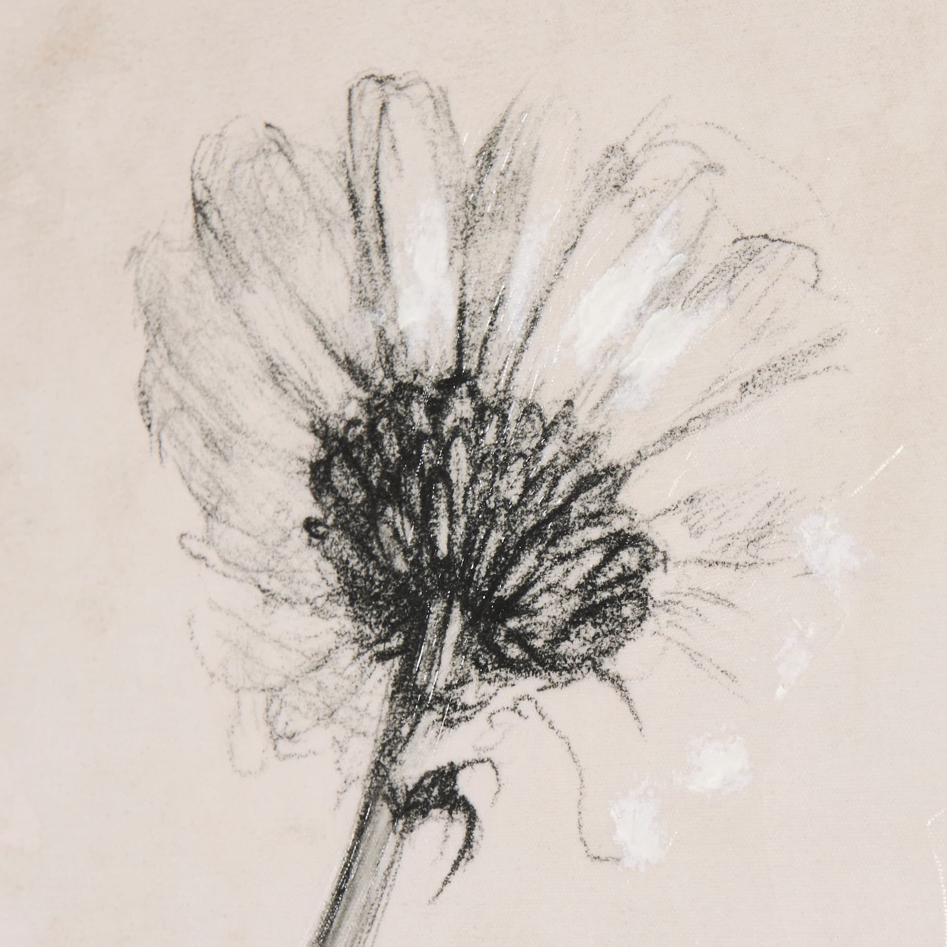 Chamomile Drawing I by Mercana Studio a Hand Embellished Textured Canvas — product photograph