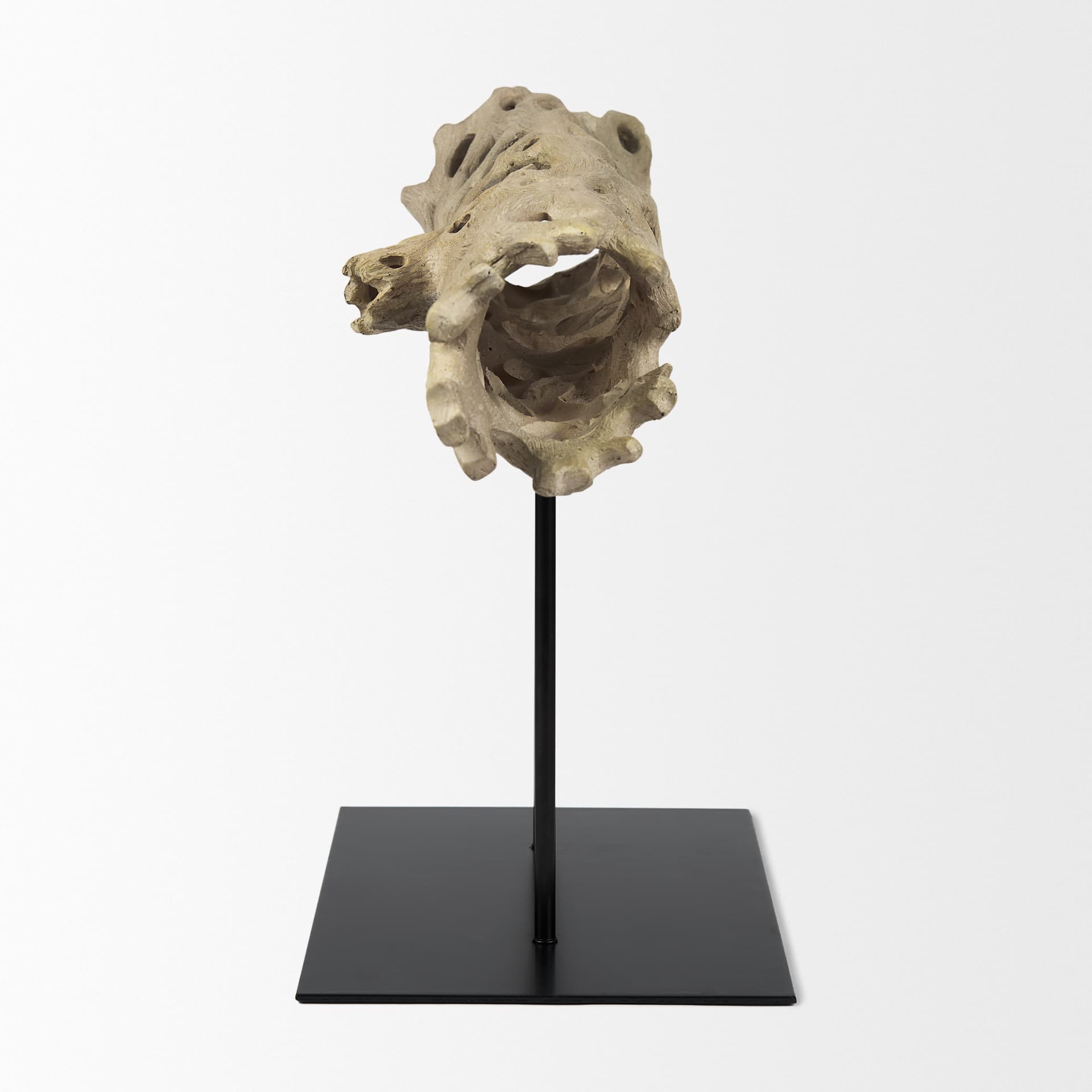 Dwell Cholla Wood Resin Decorative Object — product photograph