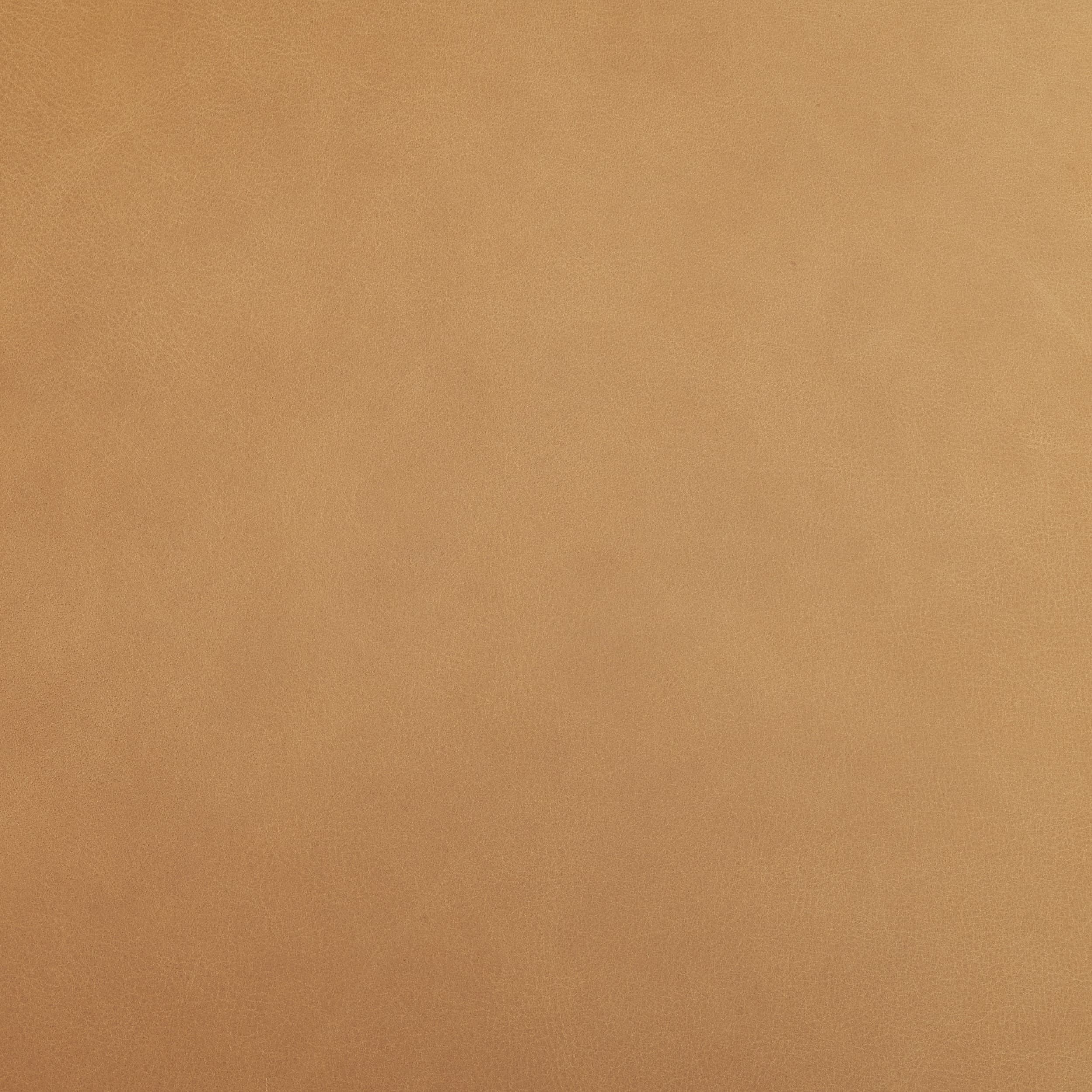 Nolan Wingback Dining Side Chair | Tan Leather w/ Tapered Wood — product photograph
