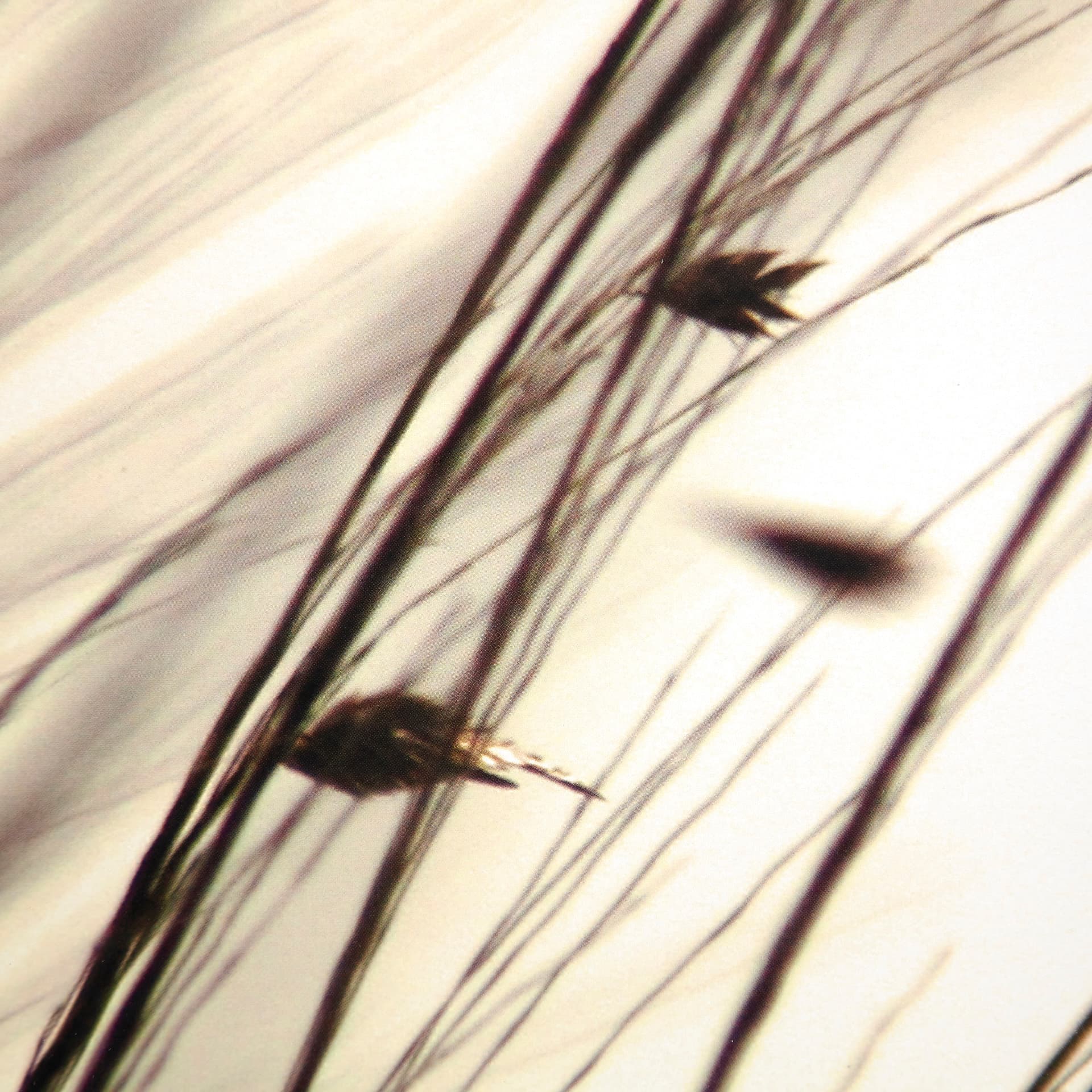 Organic I by Tony Koukos a Hand Embellished Textured Framed Art Photograph Matted under Glass — product photograph