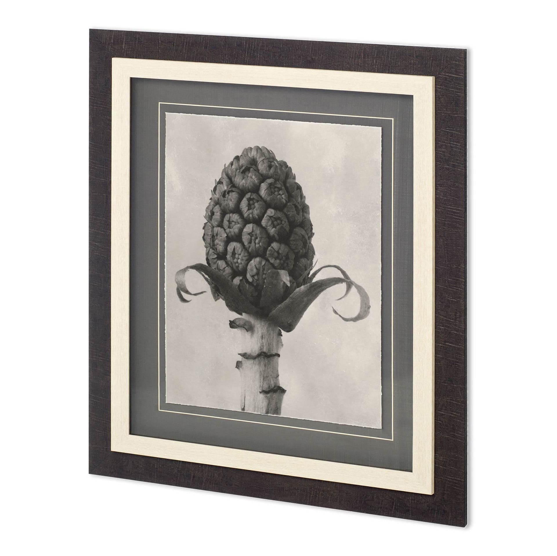Custom Blossfeldt Botanical IV Karl Blossfeldt Hand Embellished Framed Art Print Matted under Glass — product photograph