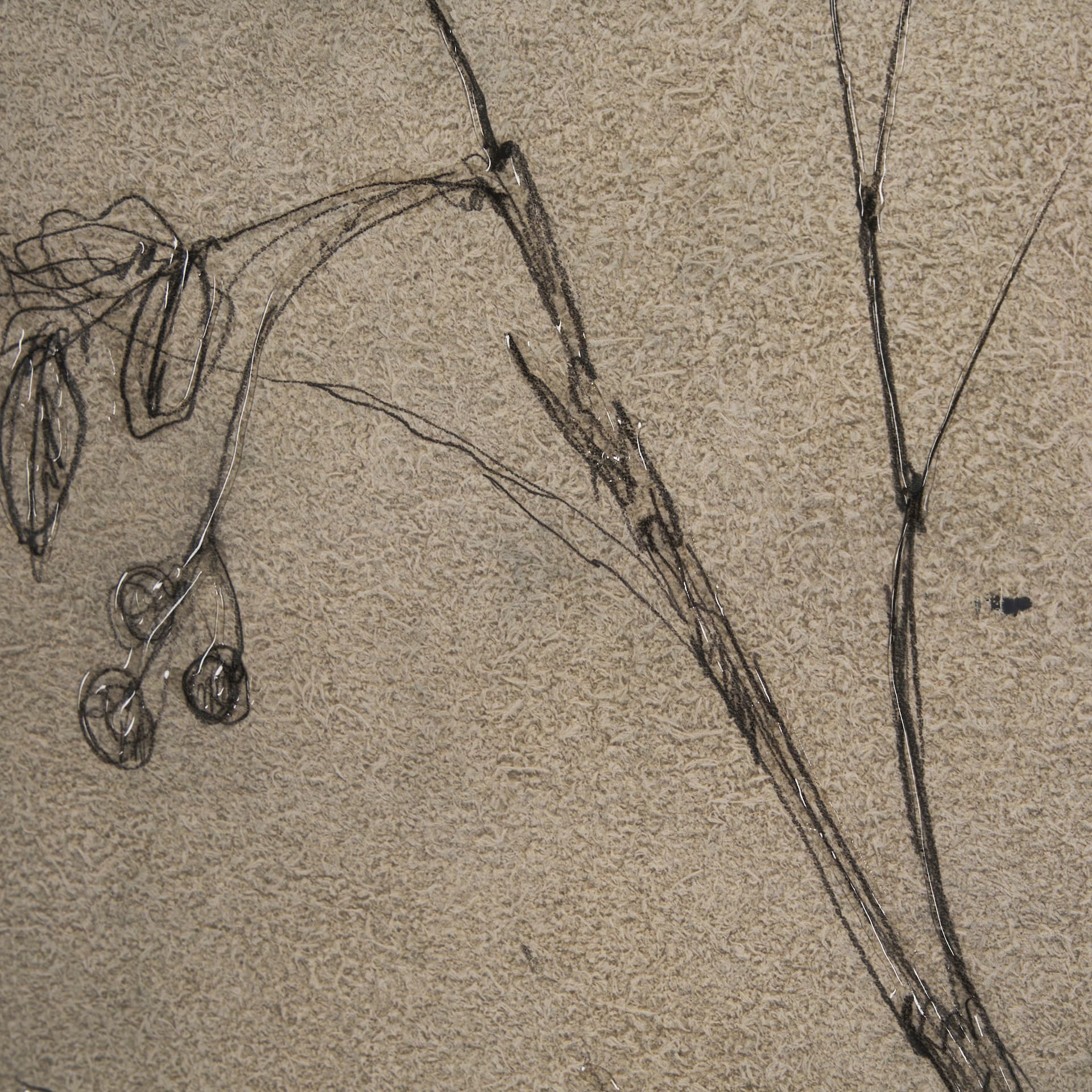 Black Chokecherry 3 by Mercana Studio a Hand Embellished Framed Art Print Matted under Glass — product photograph