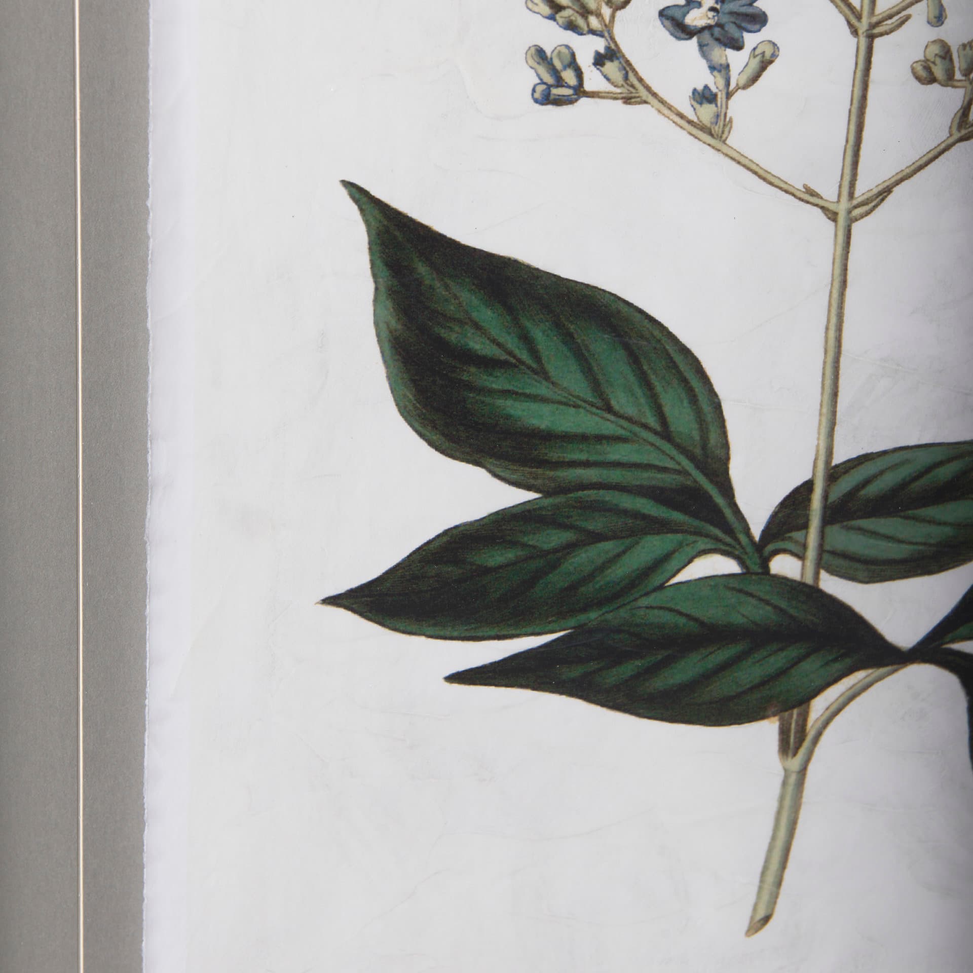 Soft Blue Botanoicals IV by Mercana Studio Hand Embellished Framed Art Print Matted under Glass — product photograph