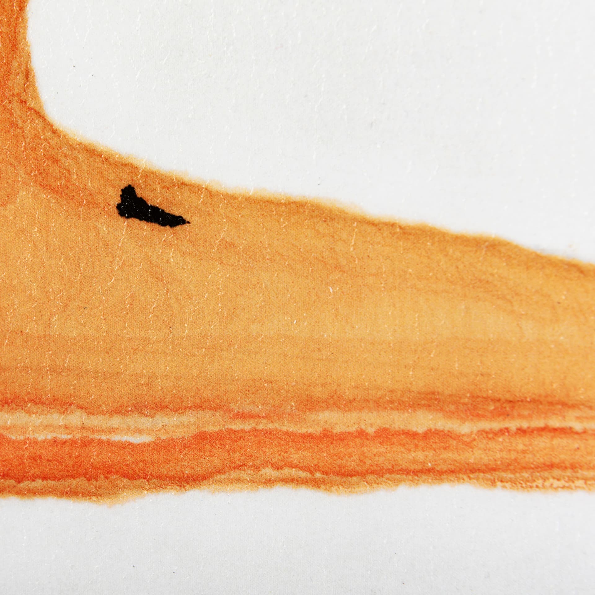 Goose Gazing II by Mercana Studio a Hand Embellished Textured Framed Art Print — product photograph