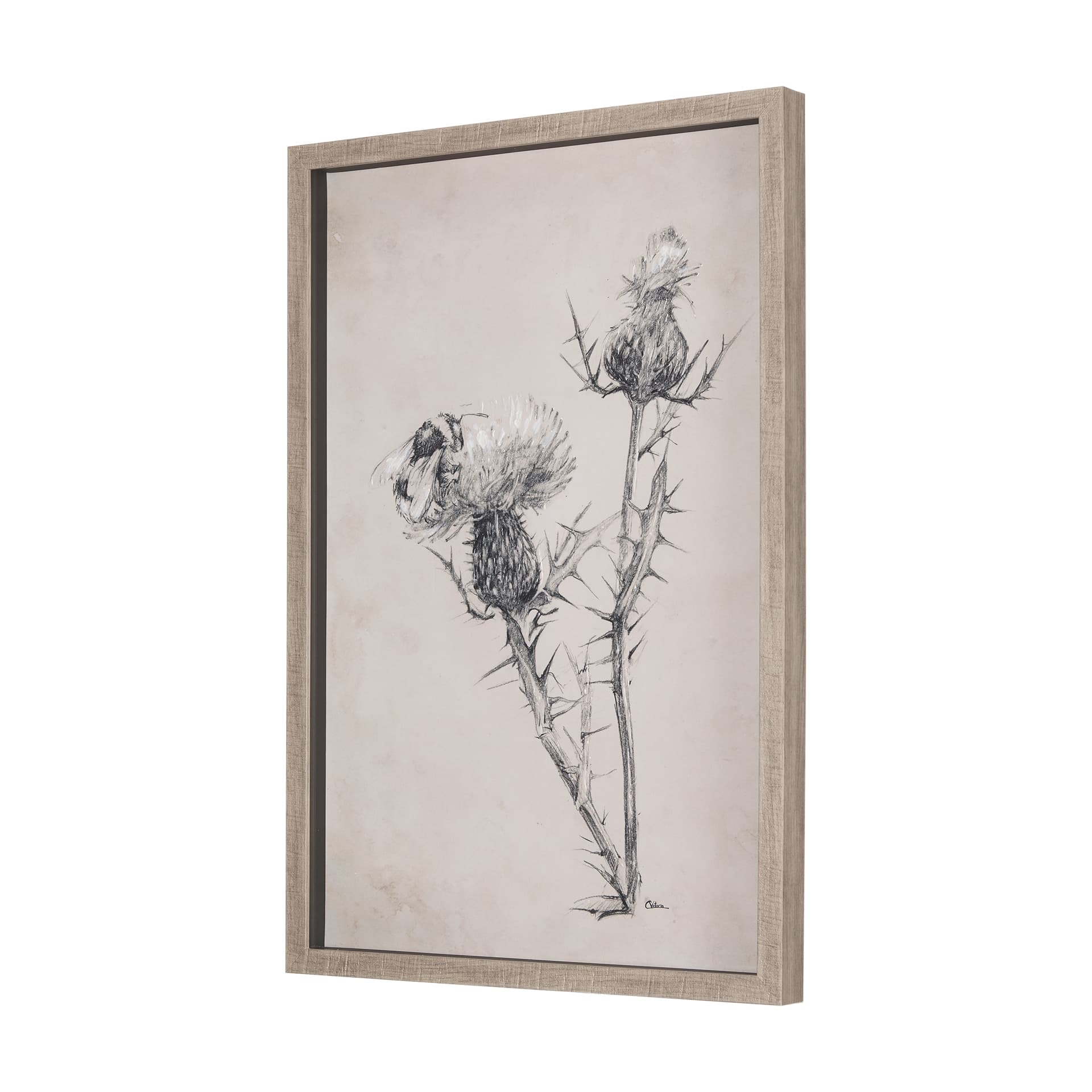 Thistle With Bumblebee Drawing IV Mercana Studio Hand Embellished Framed Art Print Matted under Glas — product photograph