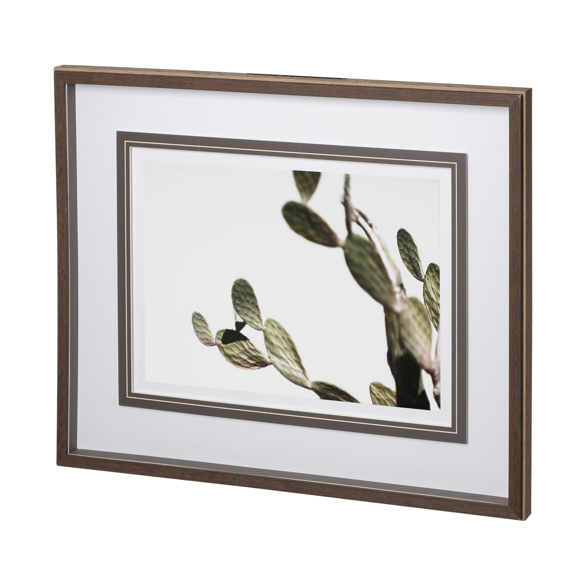 AZ Botanical 38 by Dunker a Framed Art Print Matted under Glass — product photograph