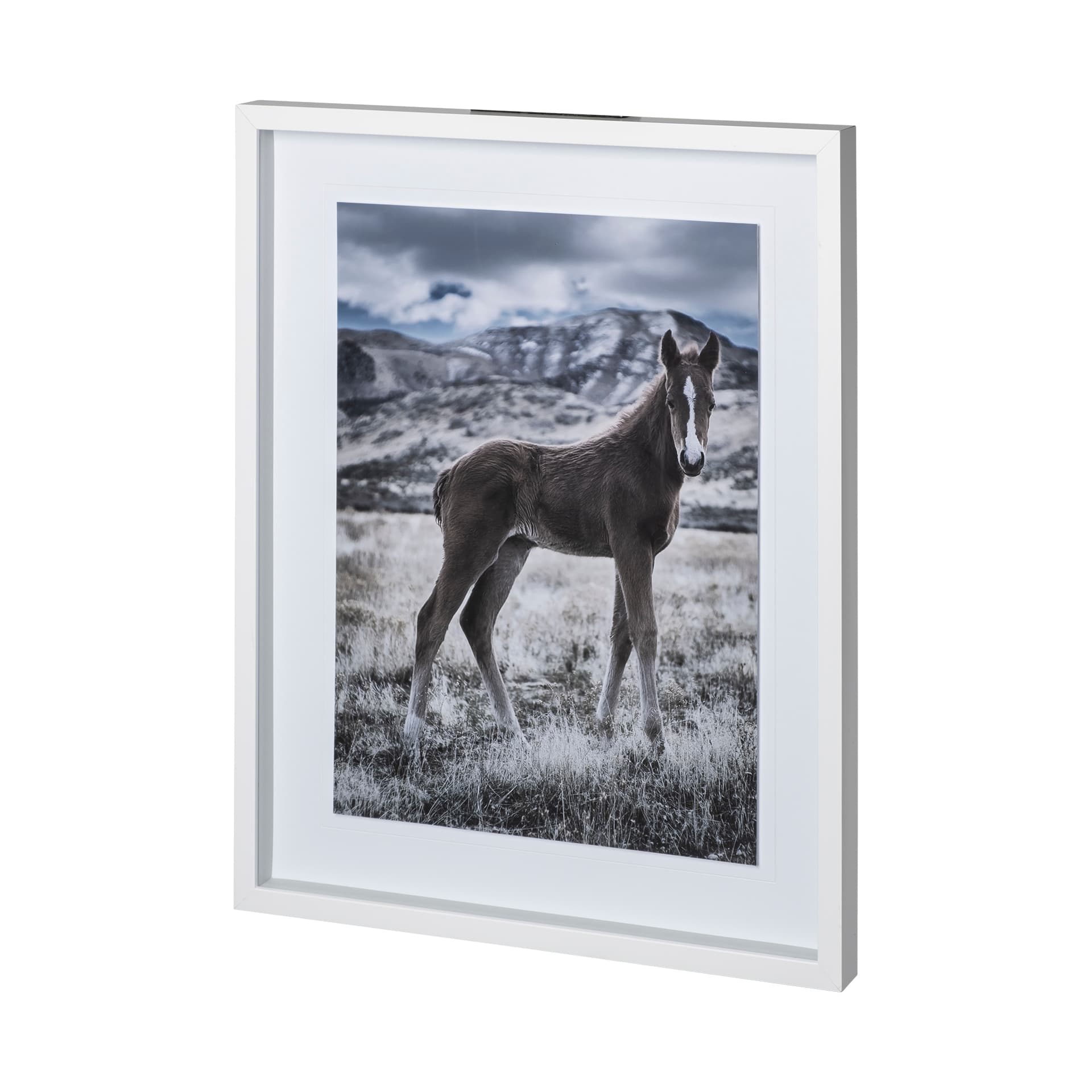 Horse 3 by Dunker a Framed Photo Art Print Matted under Glass — product photograph