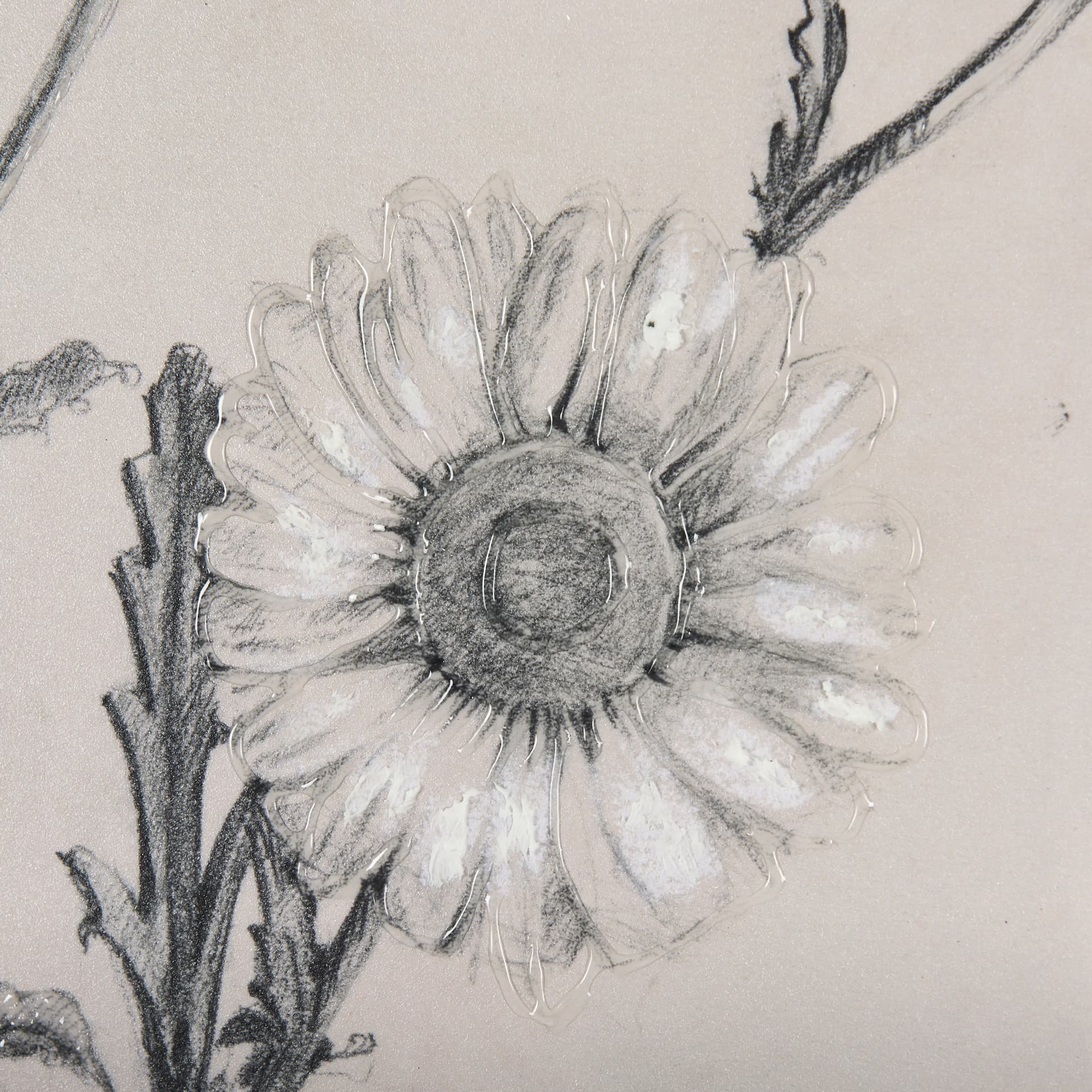 Chamomile Drawing I by Mercana Studio Hand Embellished Textured Framed Art Print Matted under Glass — product photograph