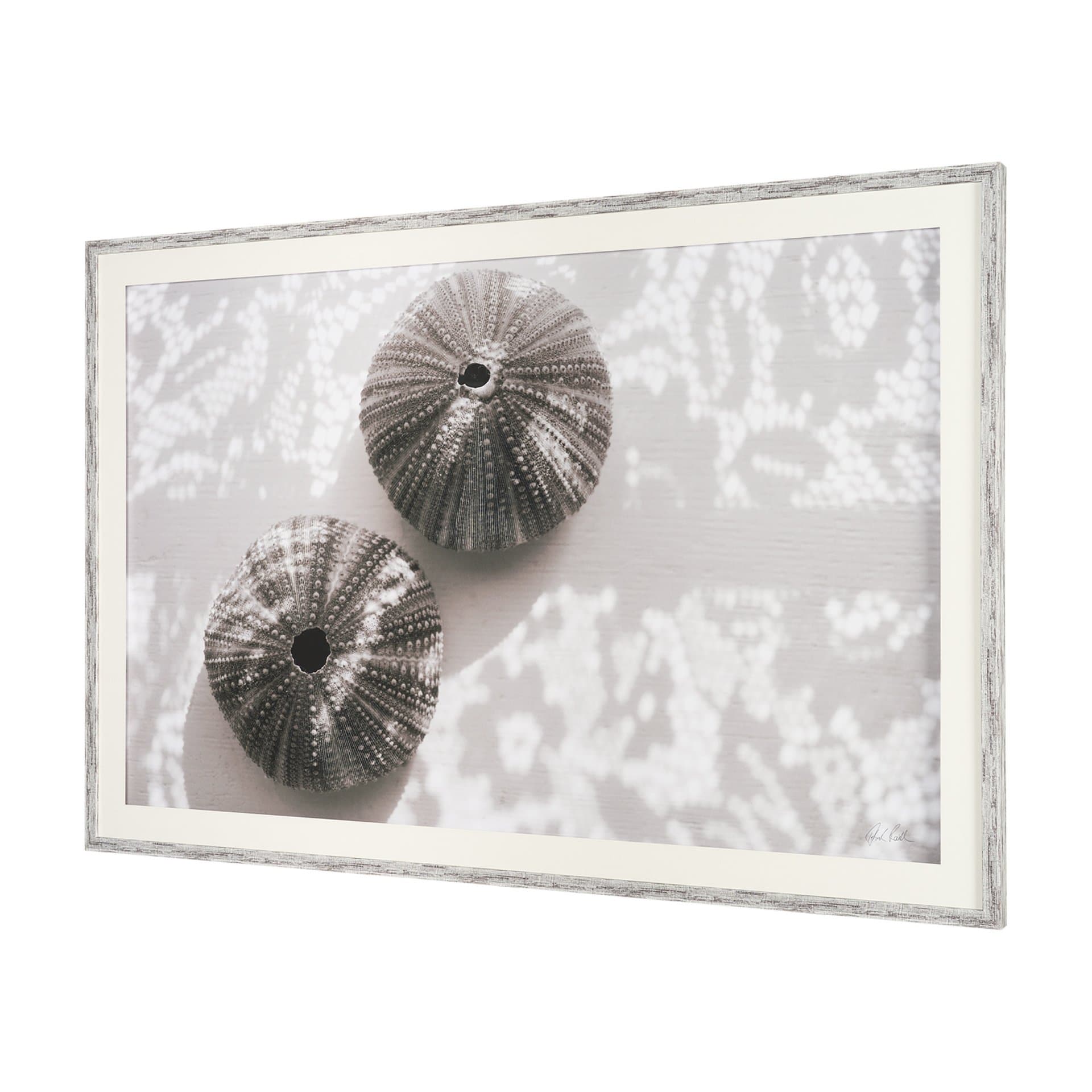 Urchins in Lace I by Deborah Revell a Hand Embellished Framed Print under Glass — product photograph