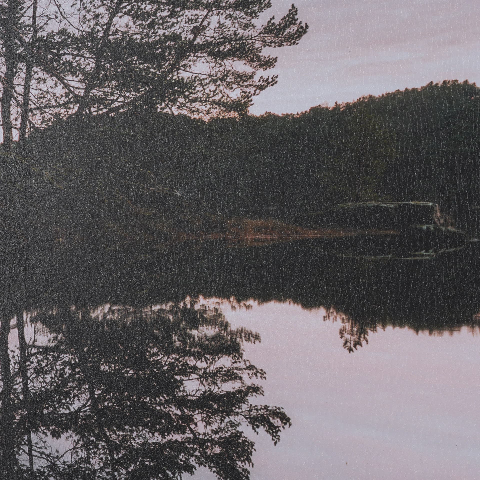 Stupell Industries Tree on Lake (Set of 2) by Thomas Tepstad Berge Framed Photo Print under Glass — product photograph