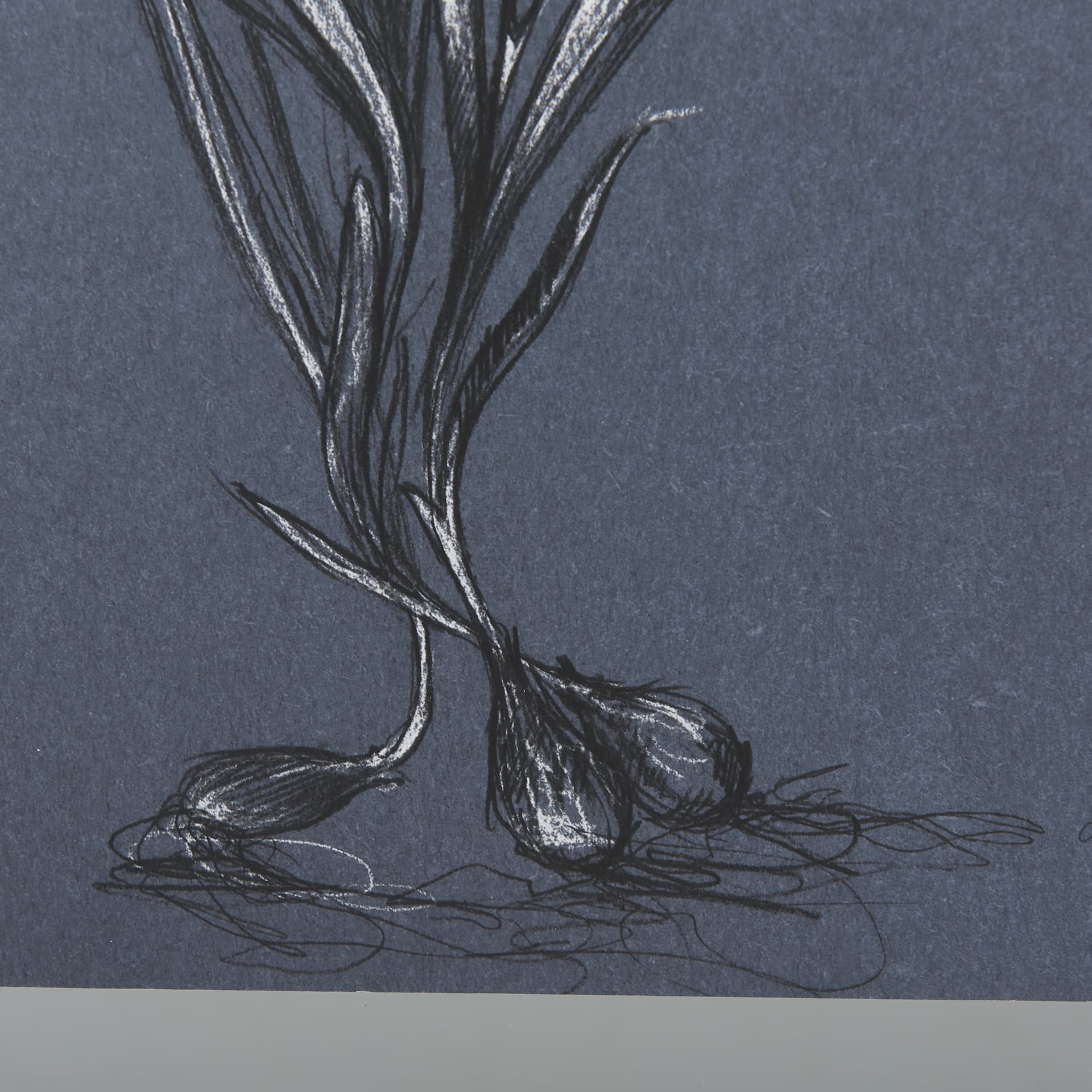 Botanical sketches III (Blue) by Mercana Studio Hand Embellished Framed Art Print Matted under Glass — product photograph