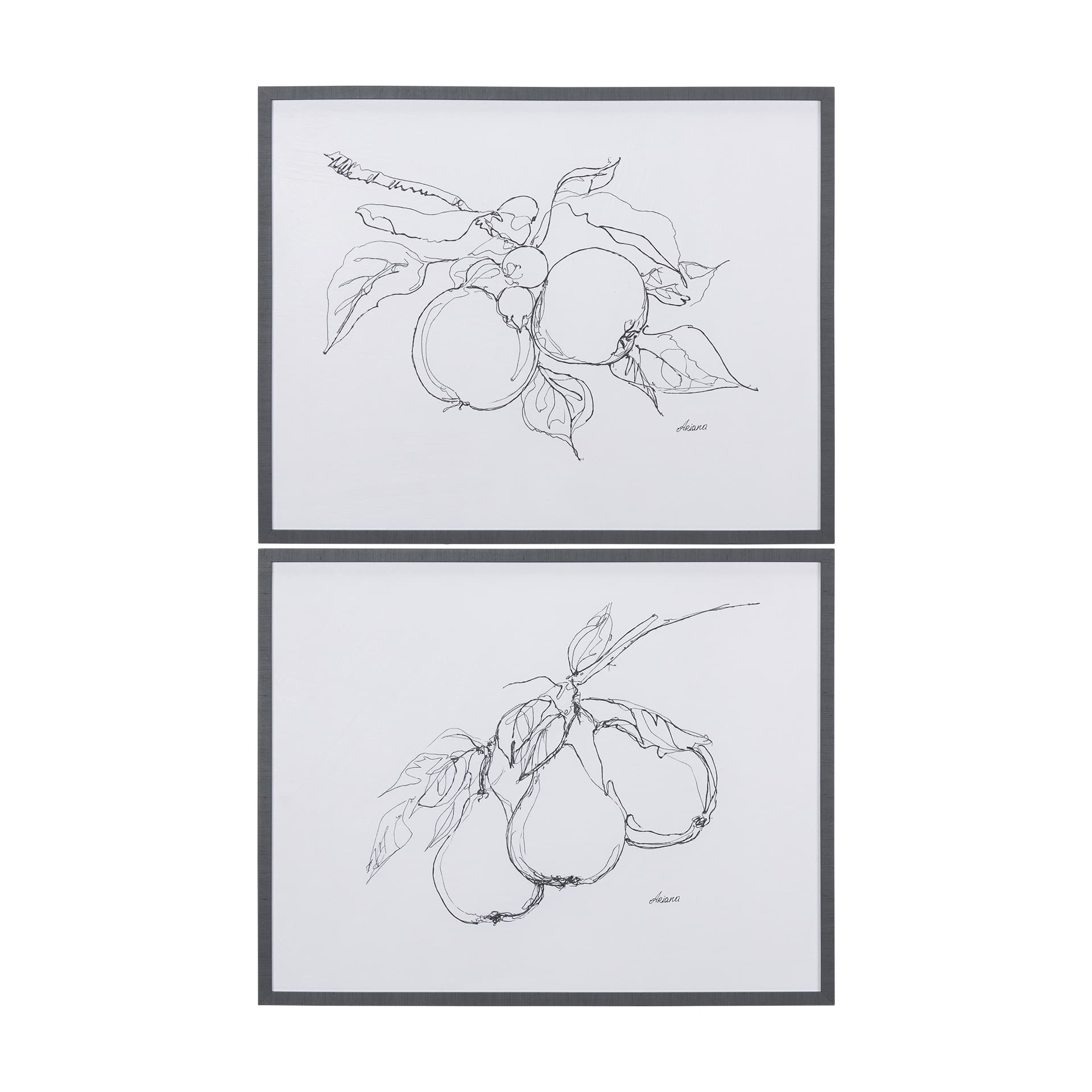 Fruit Sketch Apple by Mercana Studio a Hand Embellished Textured Framed Art Print — product photograph