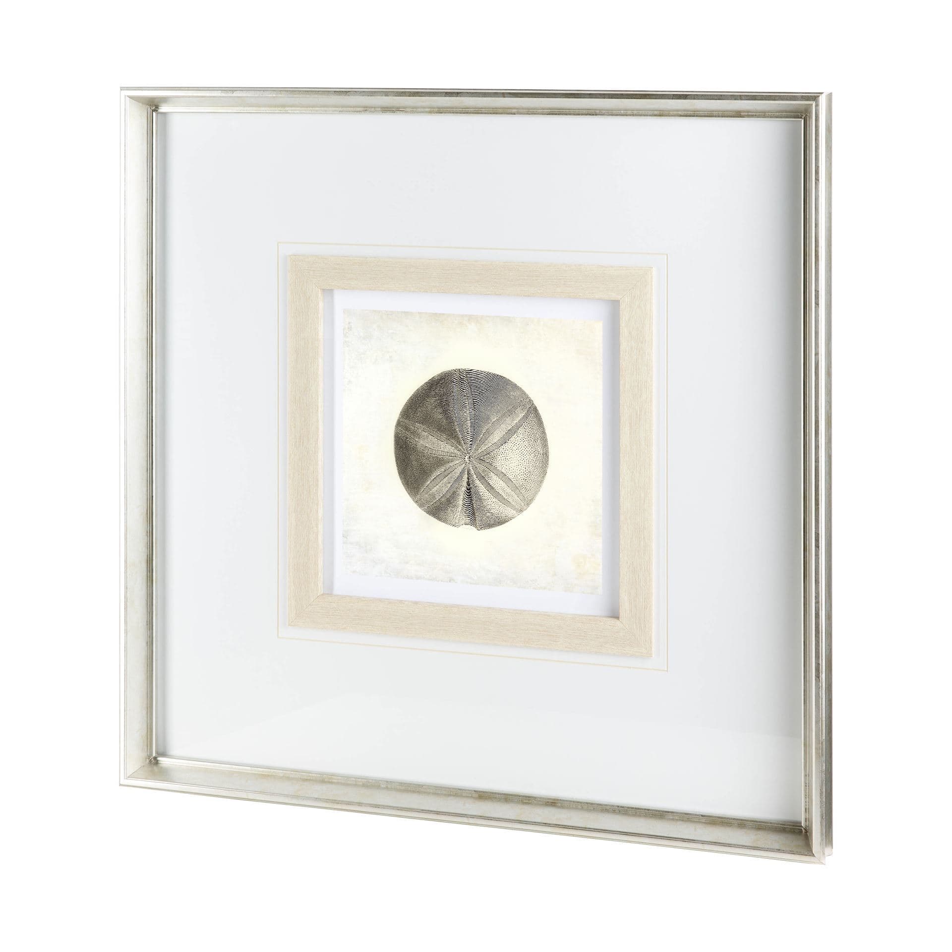 Vintage Sand Dollar by Mercana Studio a Framed Art Print Matted under Glass — product photograph