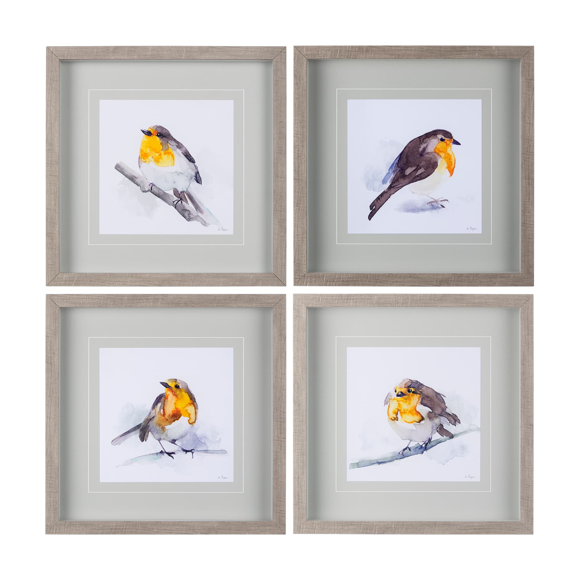 Robin I by Mercana Studio a Hand Embellished Textured Framed Art Print Matted under Glass — product photograph