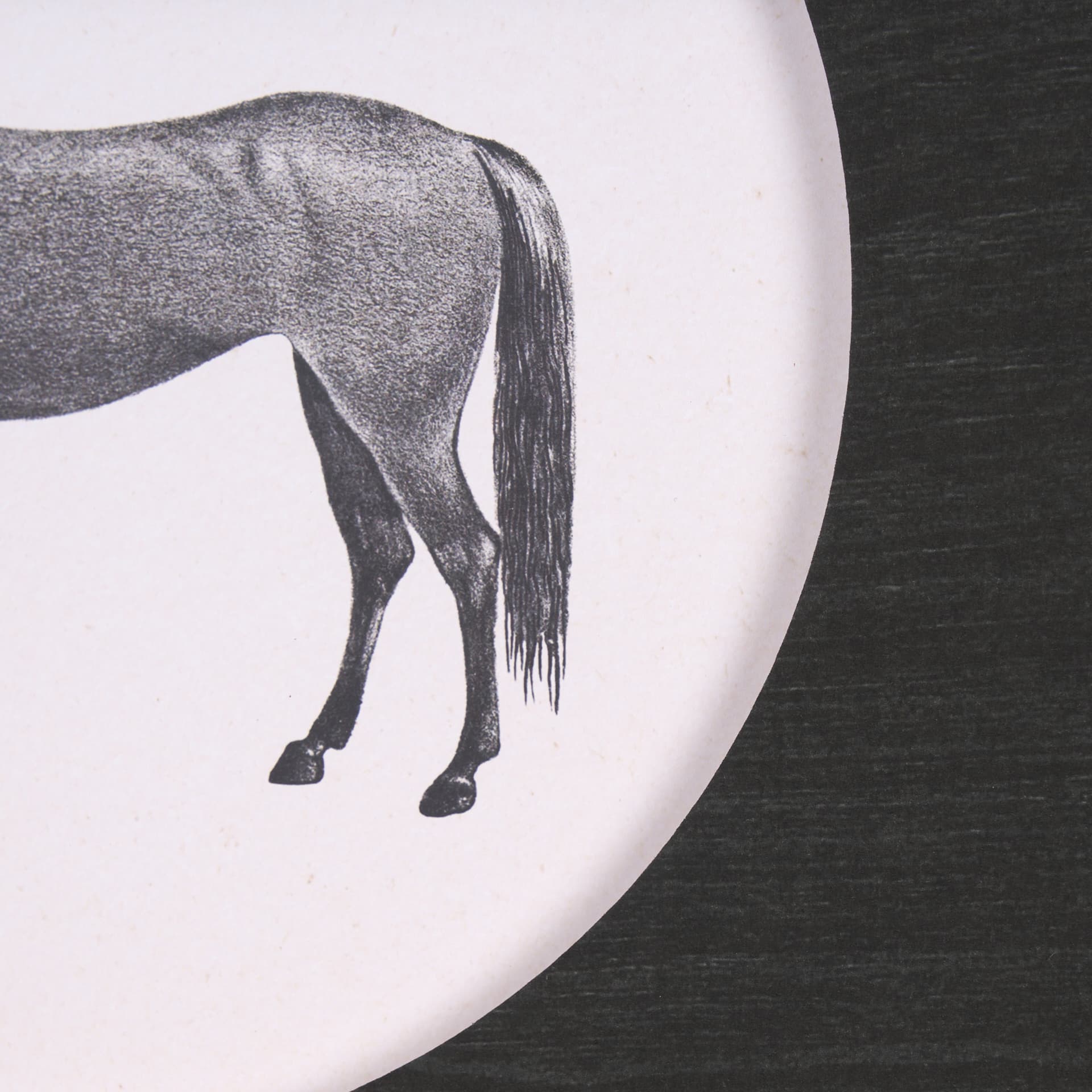 Down On The Farm IV by Wild Apple Portfolio a Framed Art Print Matted under Glass — product photograph