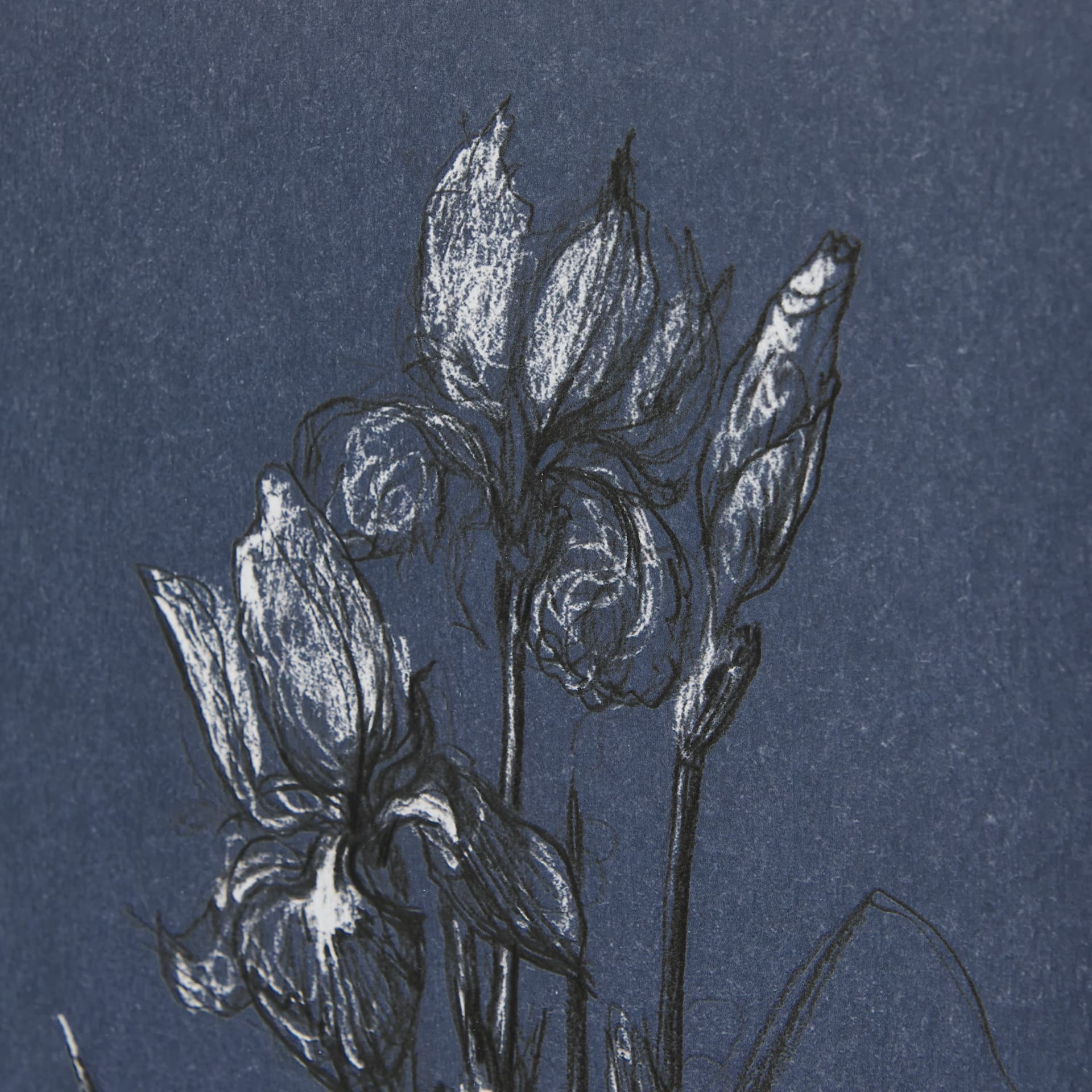 Botanical sketches IV (Blue) by Mercana Studio Hand Embellished Framed Art Print Matted under Glass — product photograph