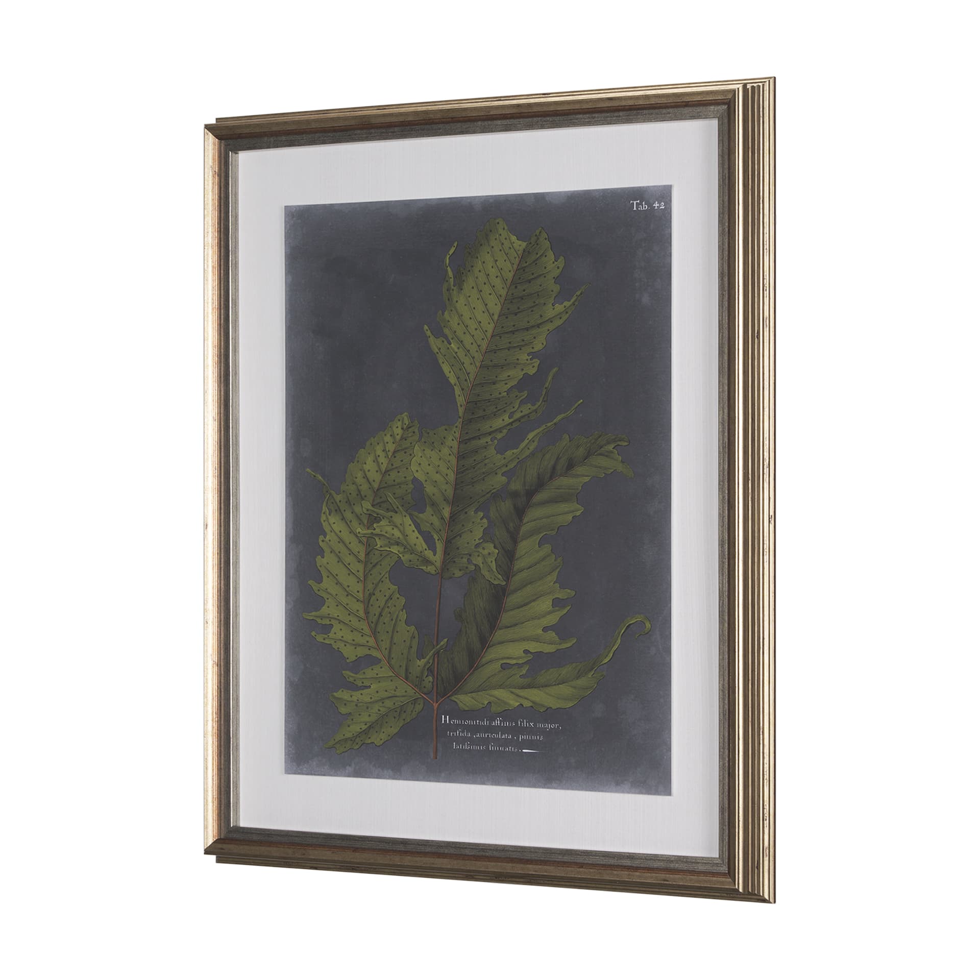 Foliage Dramatique I by Vision Studio Hand Embellished Textured Framed Art Print Matted under Glass — product photograph
